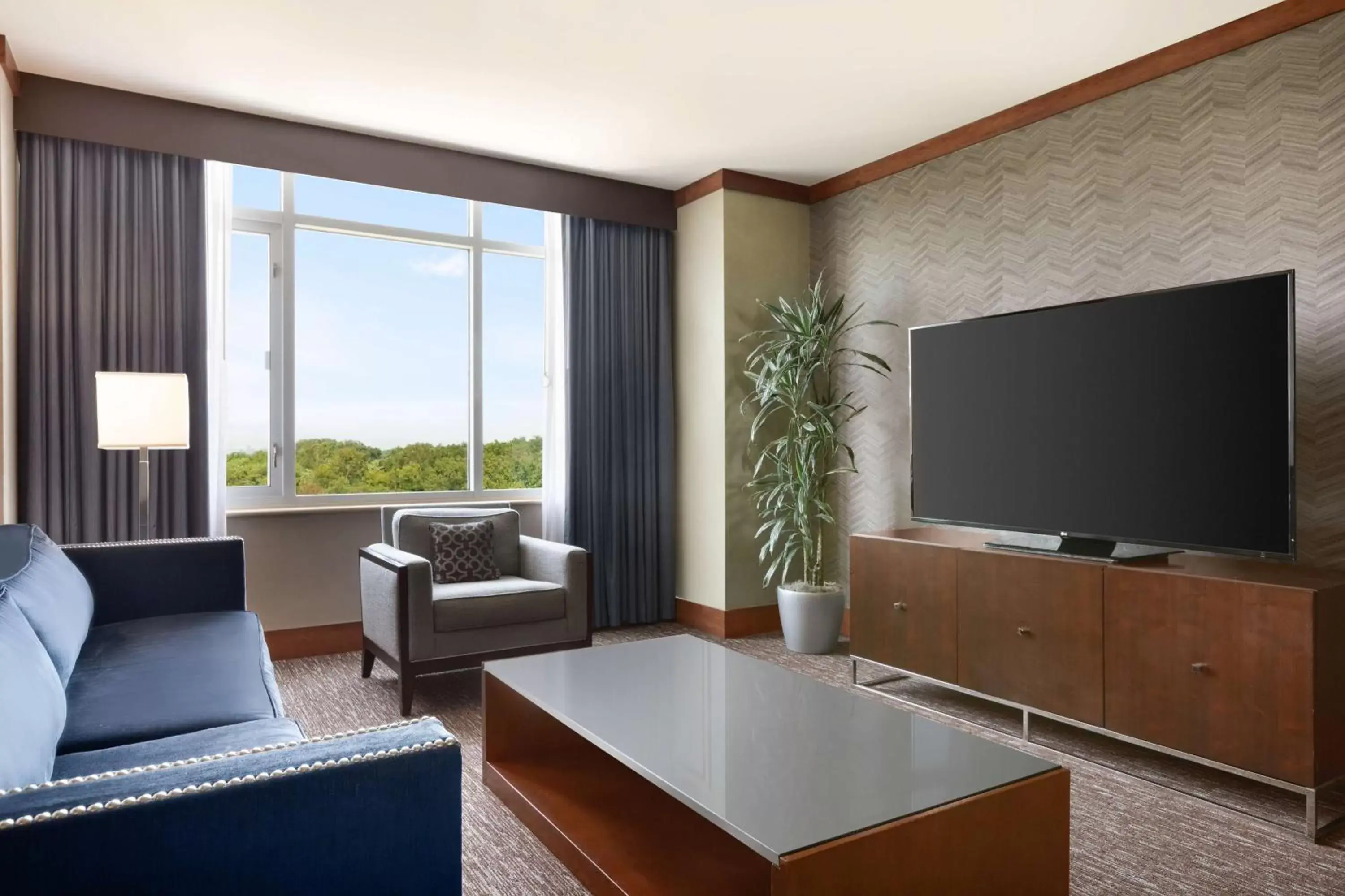 Living room, TV/Entertainment Center in Hilton Baltimore BWI Airport