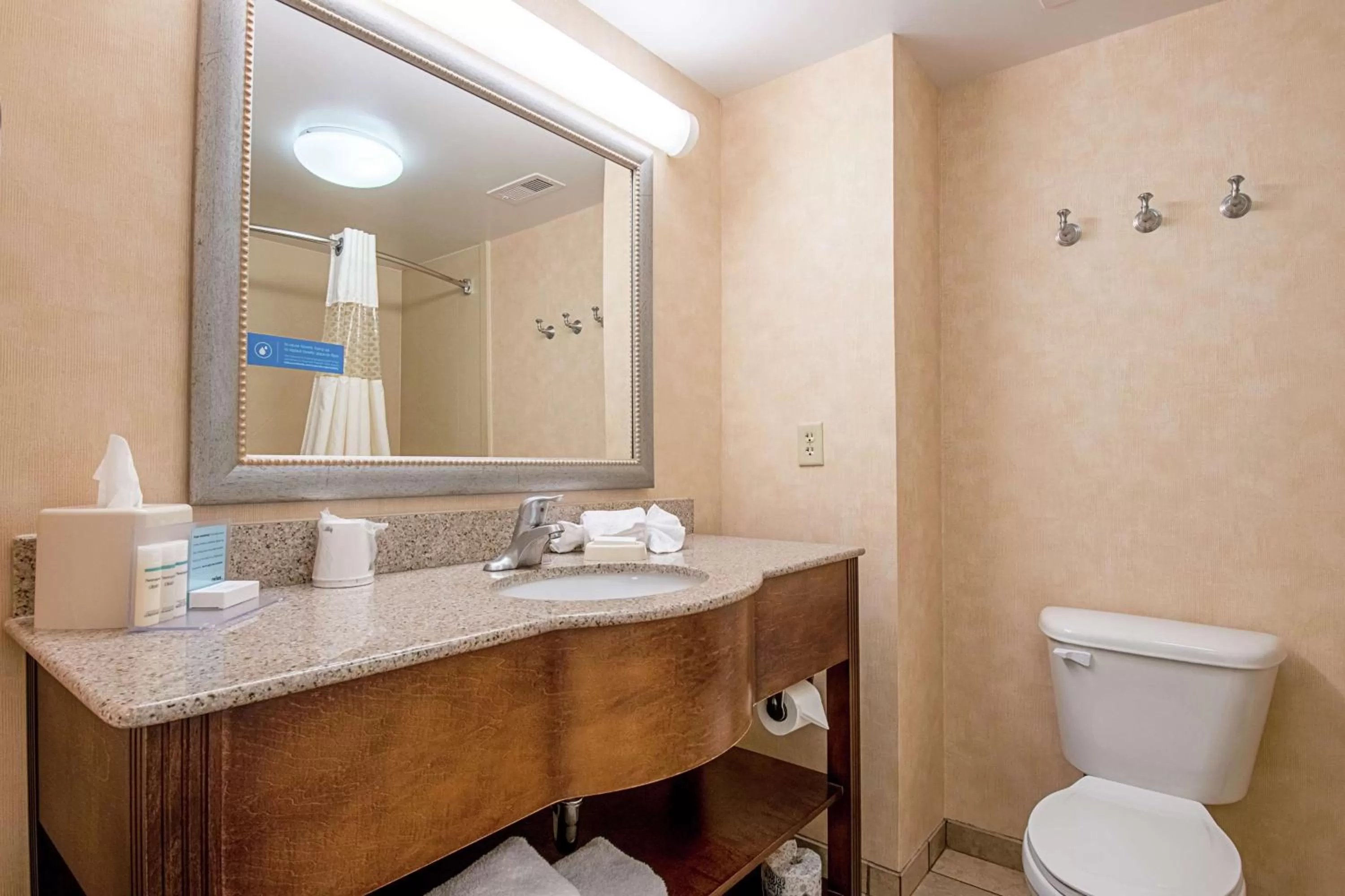 Bathroom in Hampton Inn Pine Grove
