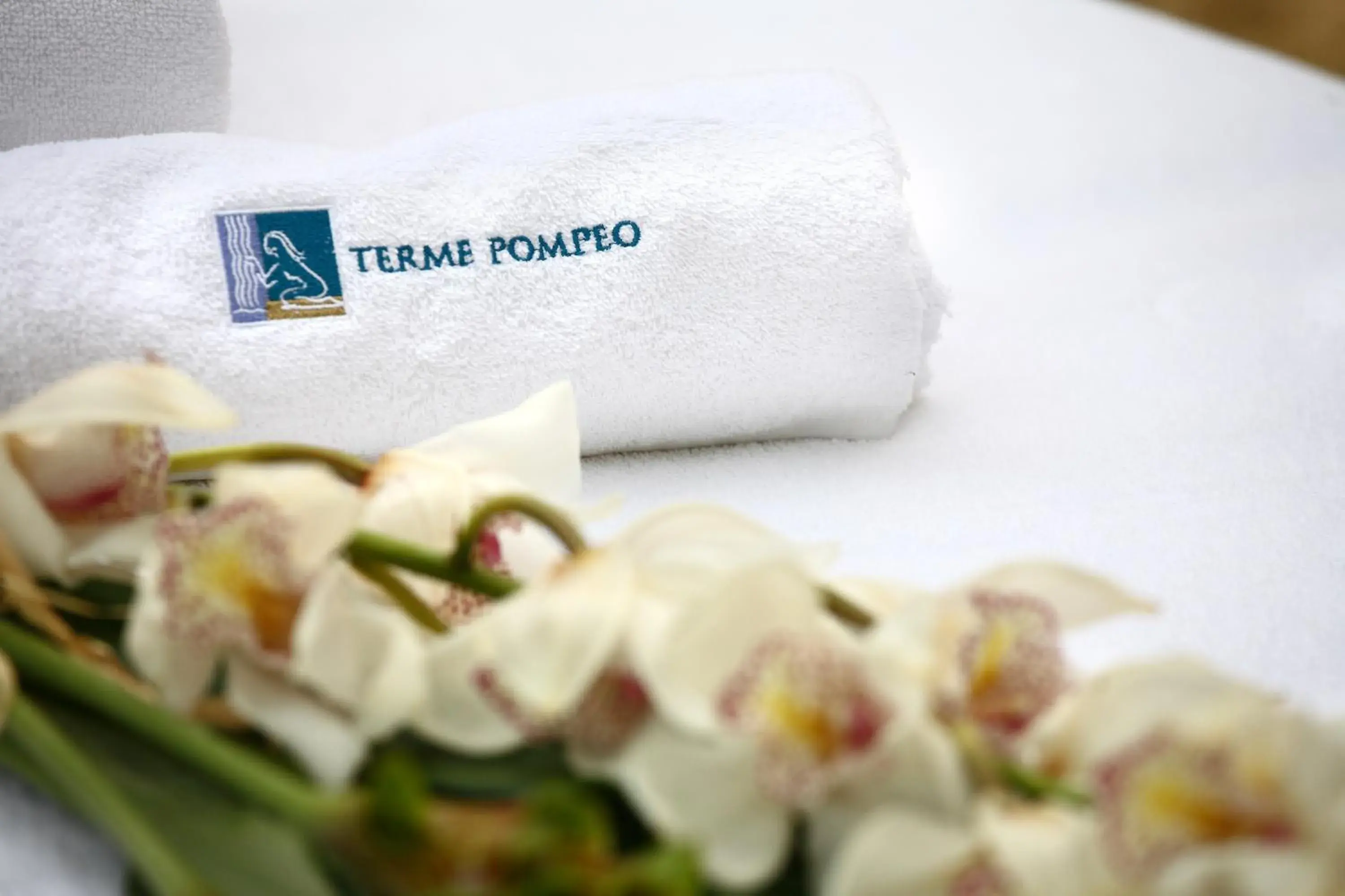 Spa and wellness centre/facilities in Hotel Fontana Olente