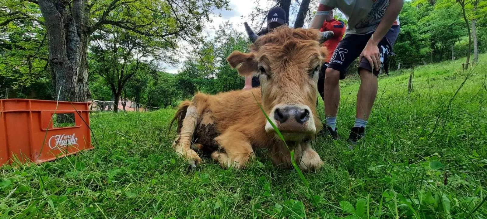 Etno selo Vile Jefimija, selo Preobrazenje, Vranje