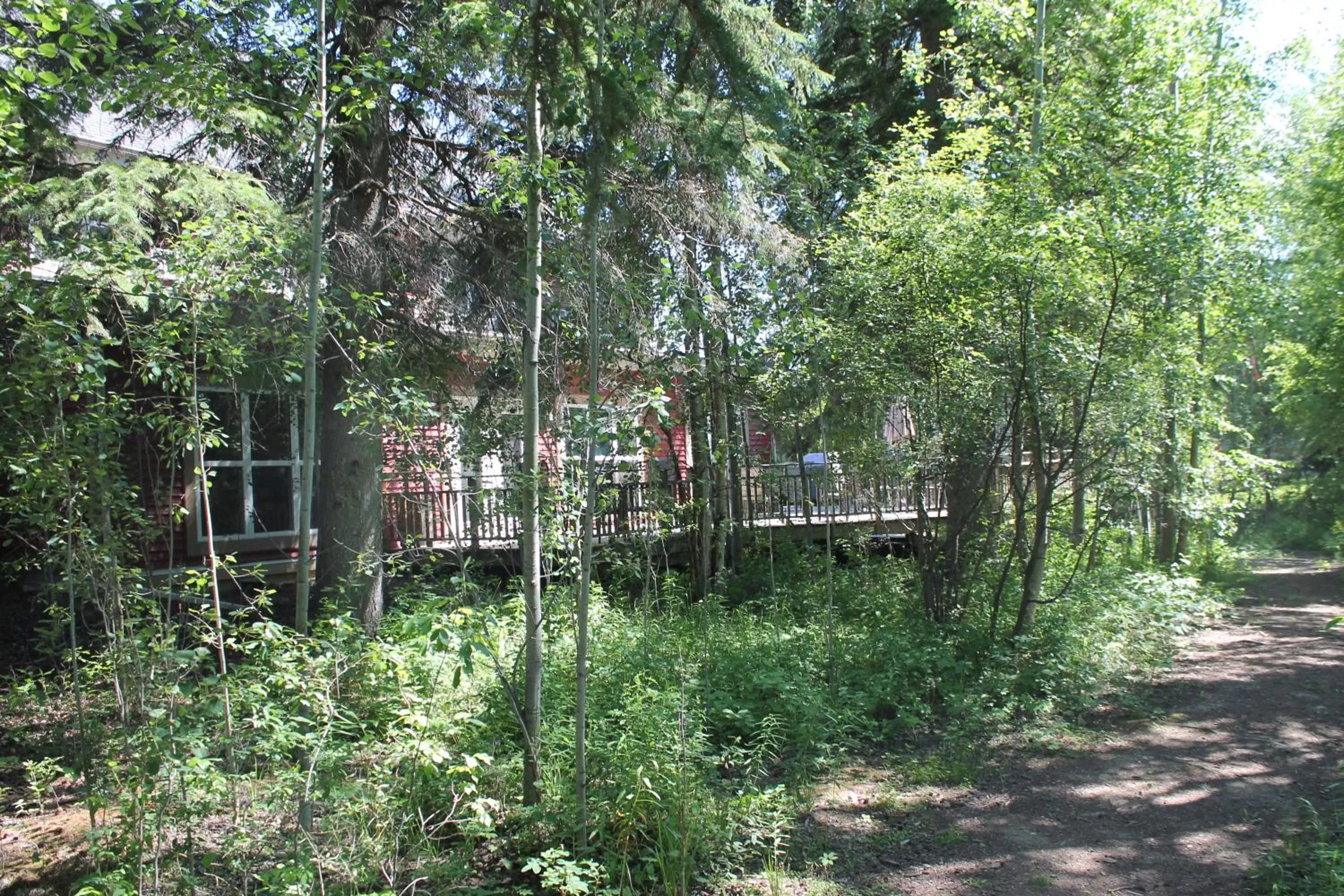 Natural landscape in Village Creek Country Inn