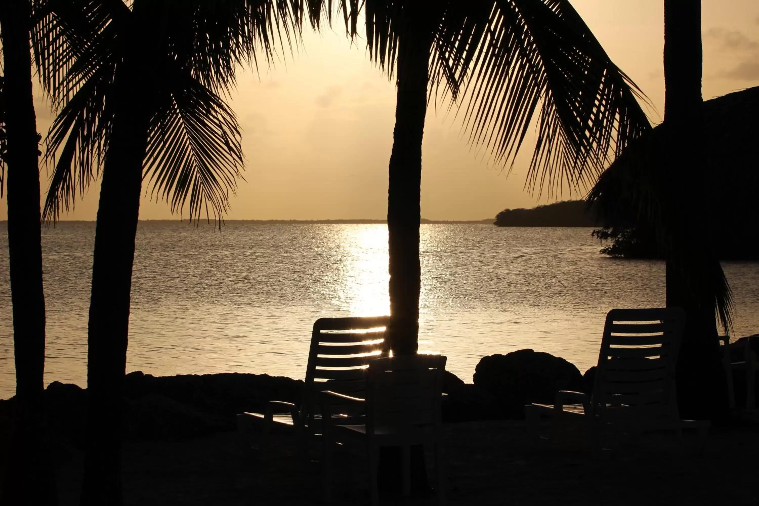 Beach, Sunrise/Sunset in Gilbert's Resort