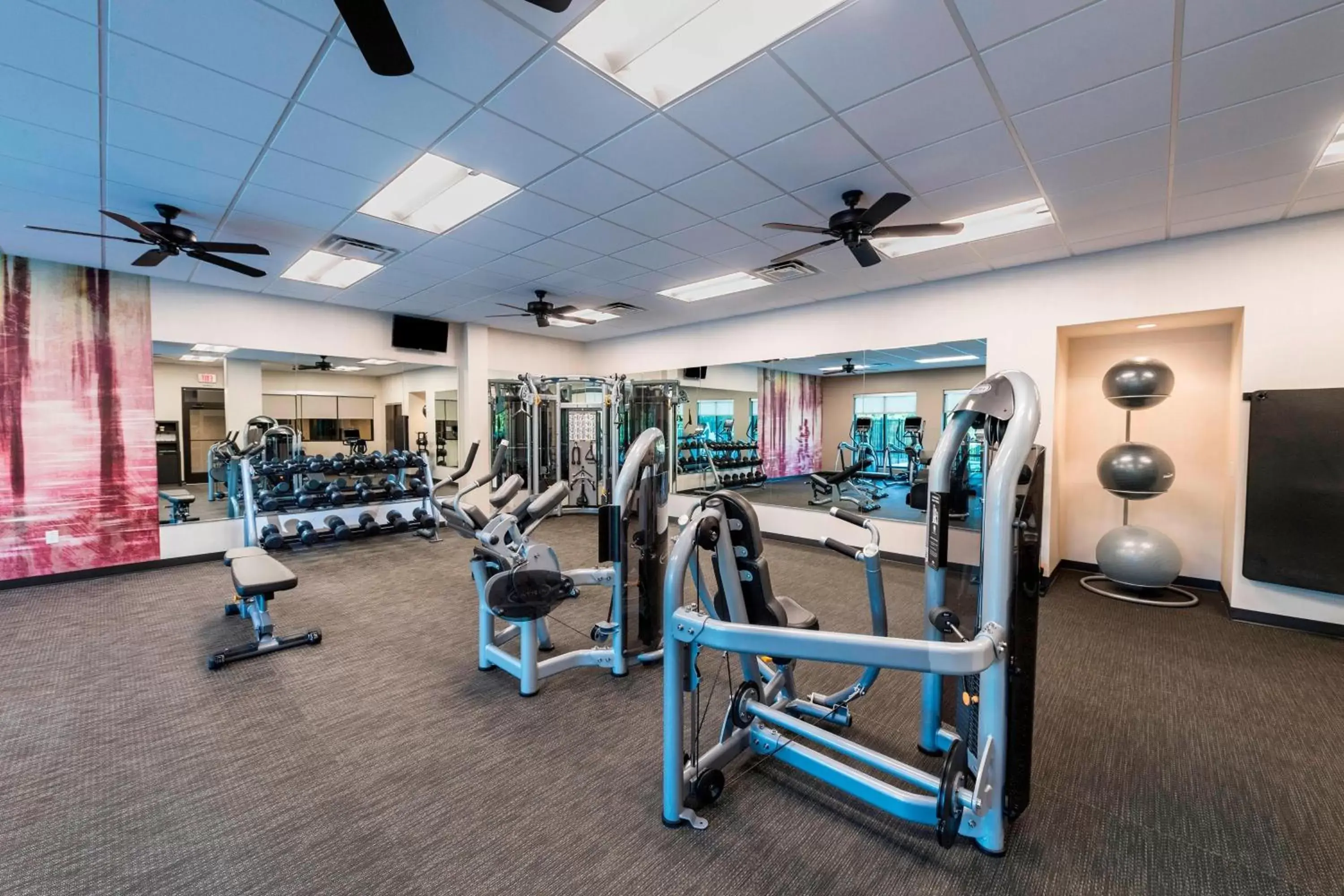 Fitness centre/facilities, Fitness Center/Facilities in Courtyard by Marriott Tampa Northwest/Veterans Expressway