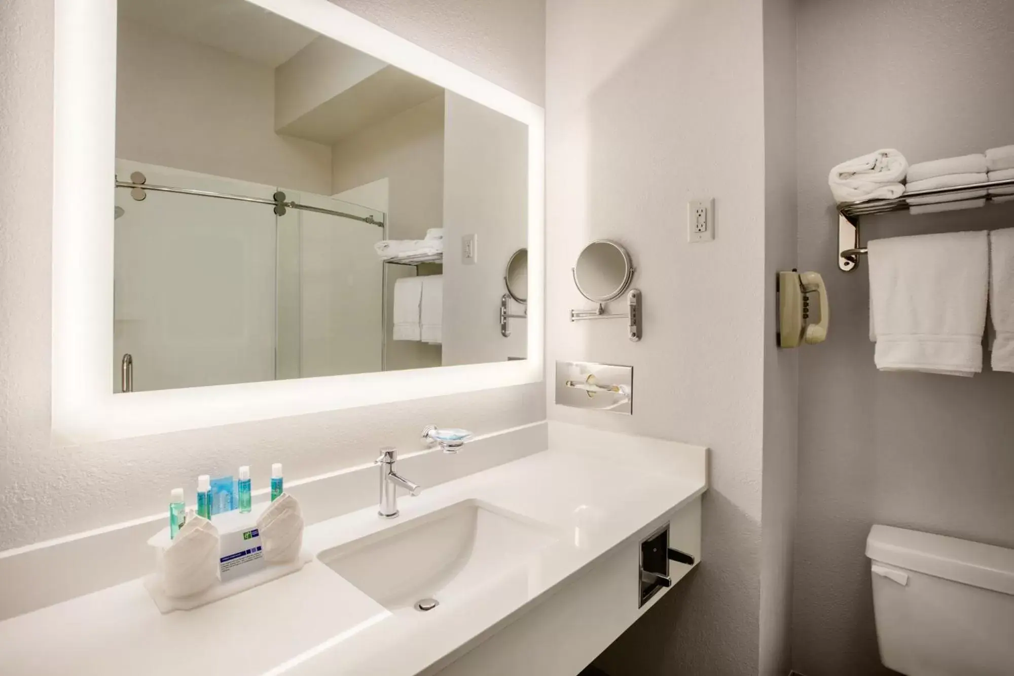 Bathroom in Holiday Inn Express Hotel & Suites Dallas - Grand Prairie I-20, an IHG Hotel