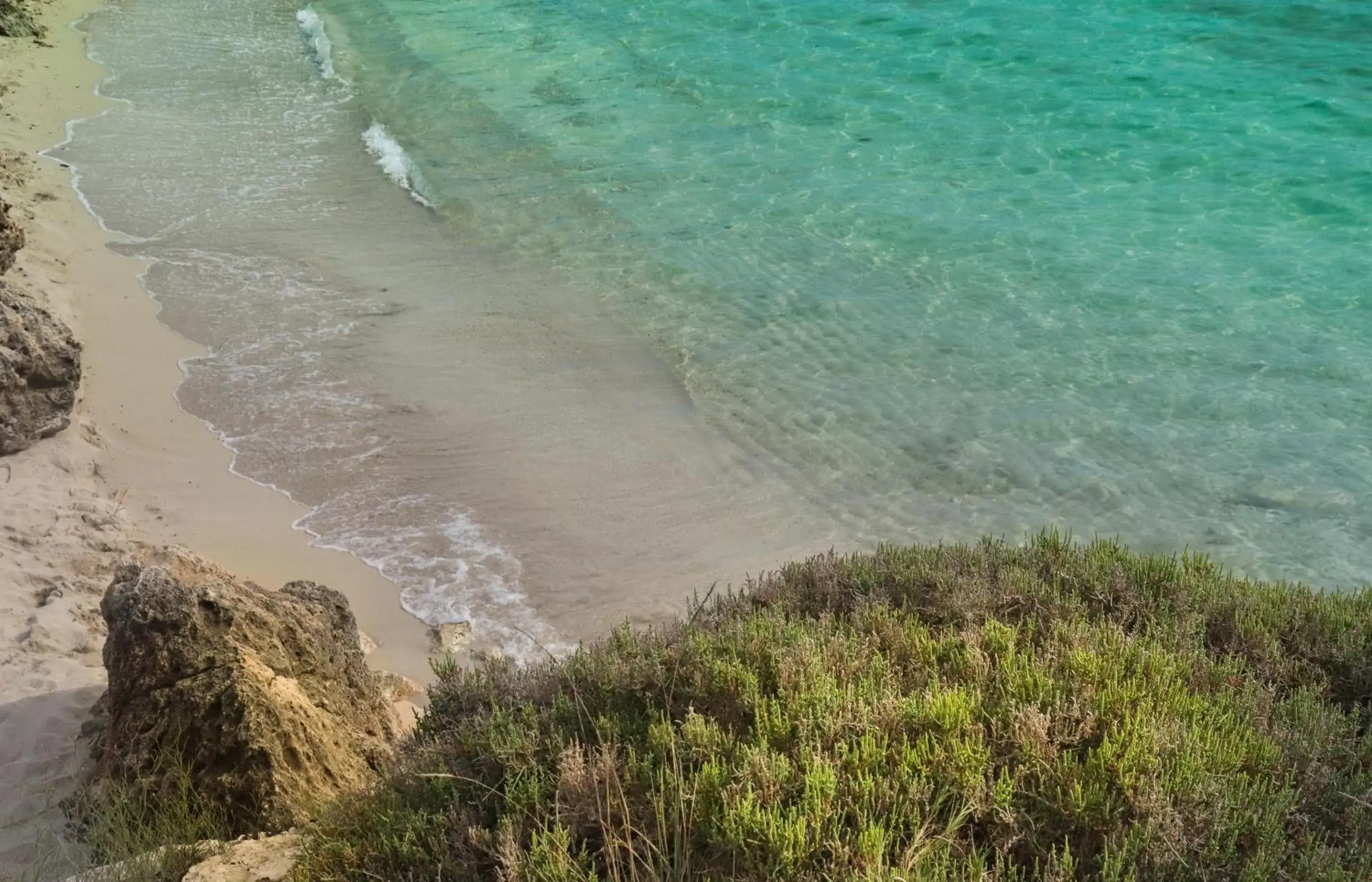 Beach in Casa Flora