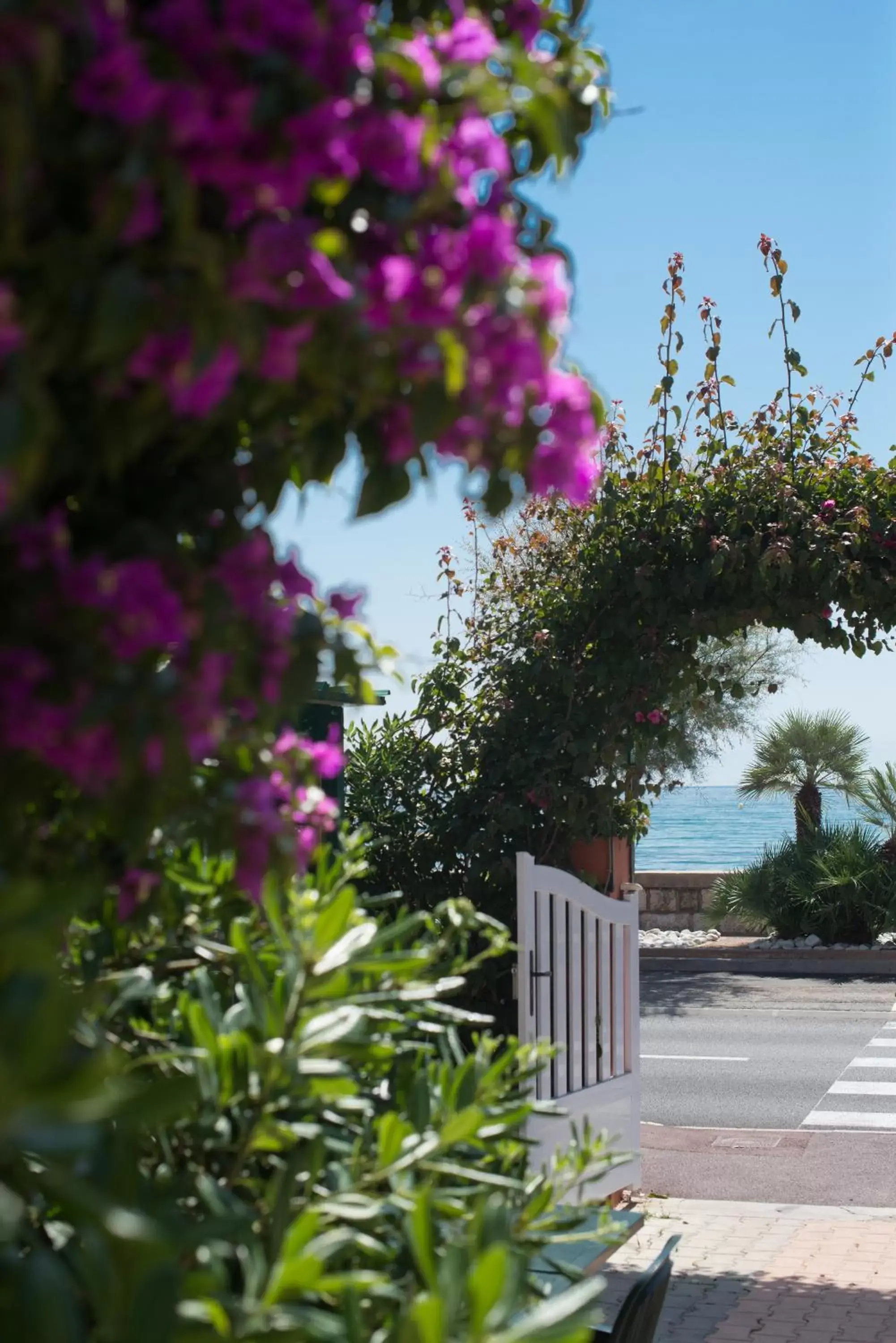 Facade/entrance, Garden in Hotel et Appartements Reine D'Azur