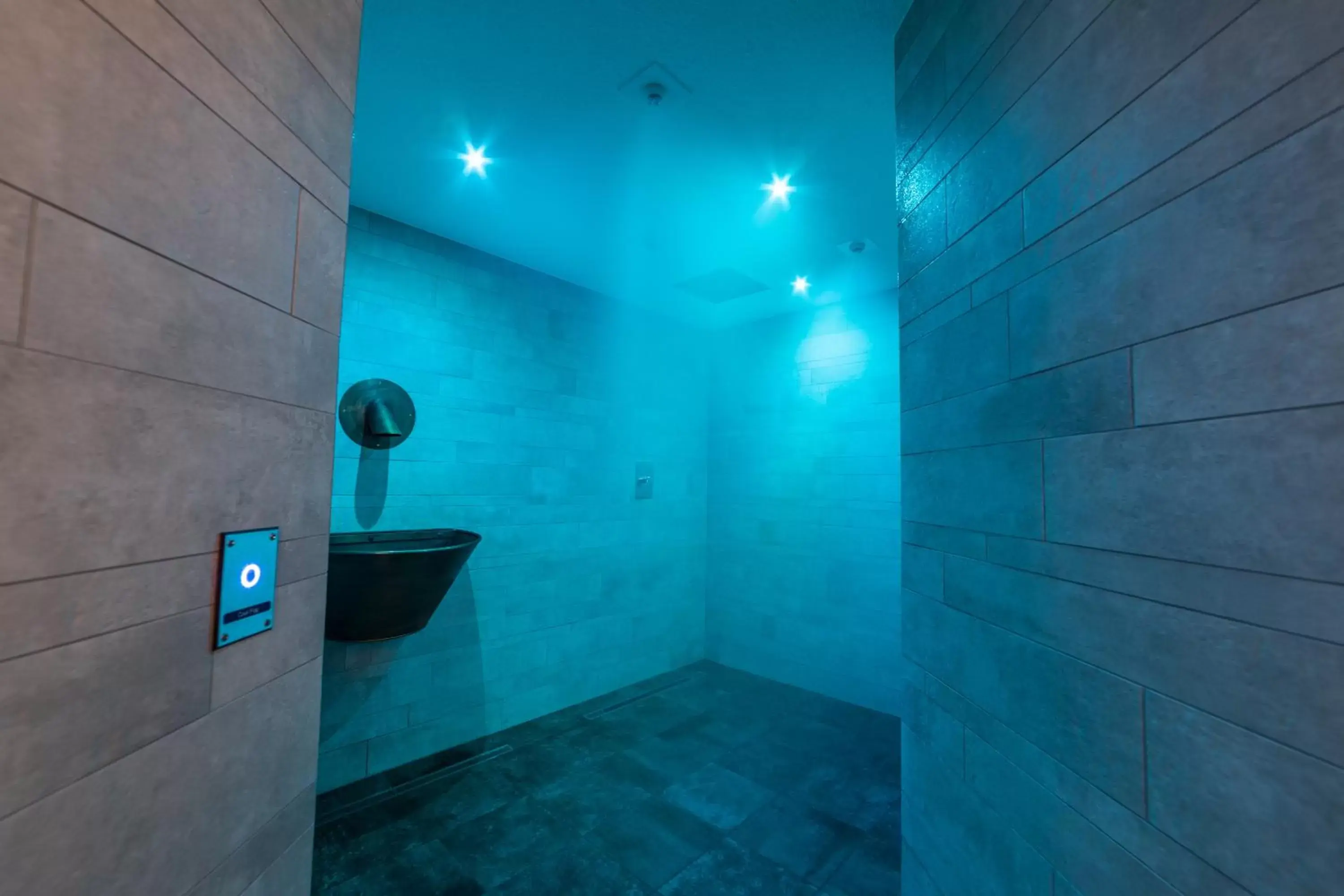 Spa and wellness centre/facilities, Bathroom in Hotel Ristorante Lewald