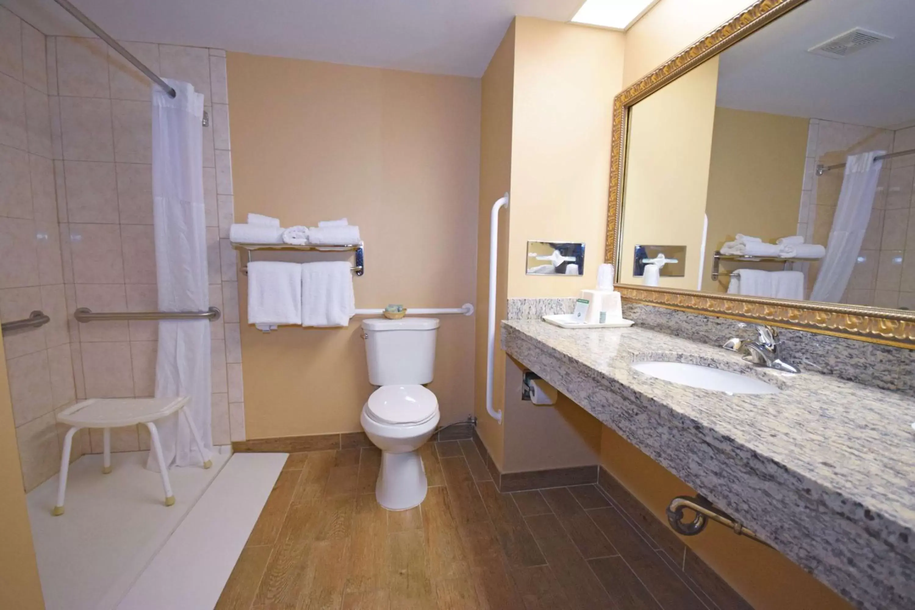 Bathroom in Best Western Resort Hotel & Conference Center Portage