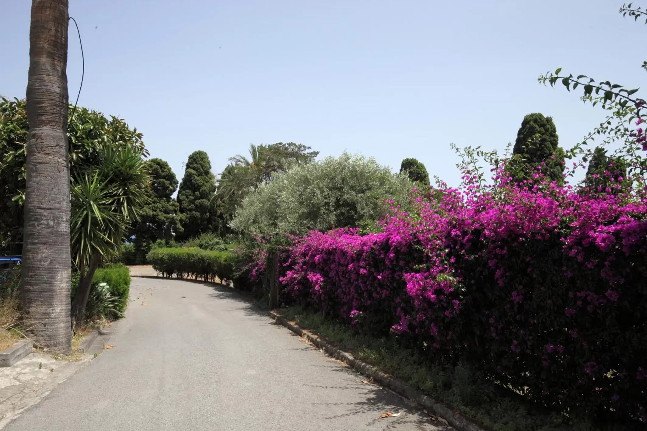 Garden in Lady Hill