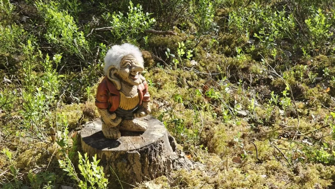 Natural landscape in Ankis Bed and Brekfast, Vimmerby