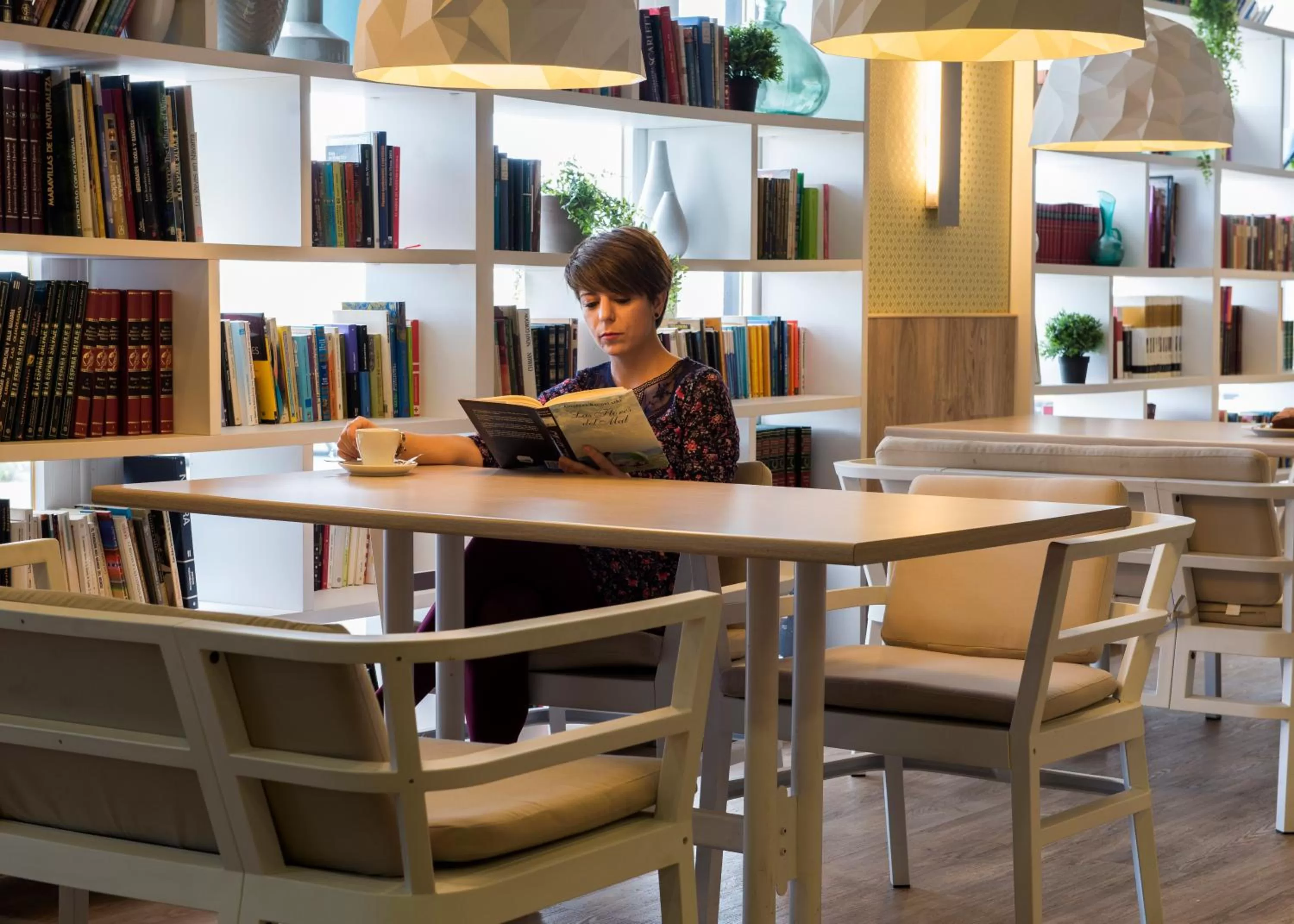Library in Hotel Luze El Villa