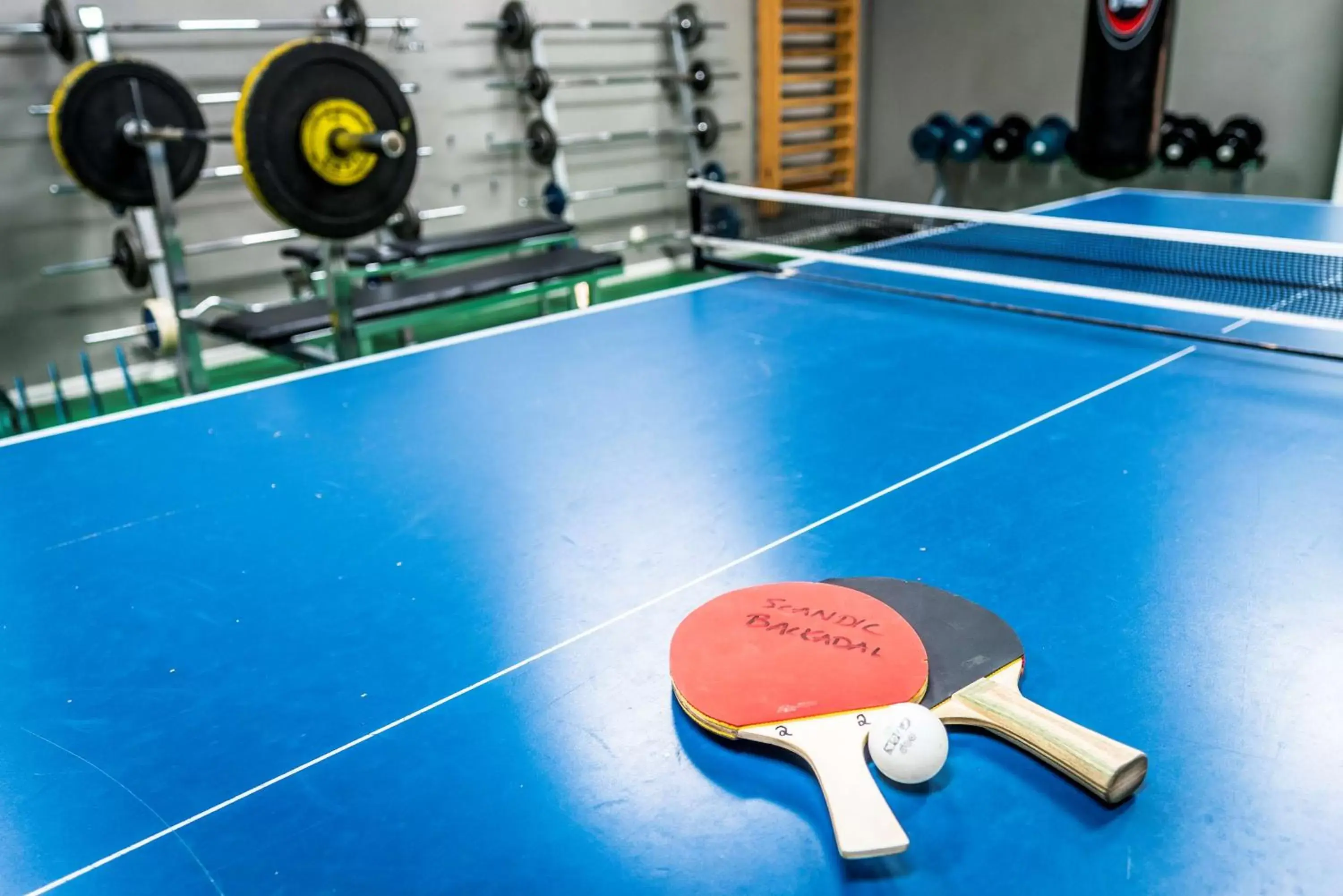 Game Room, Table Tennis in Scandic Backadal