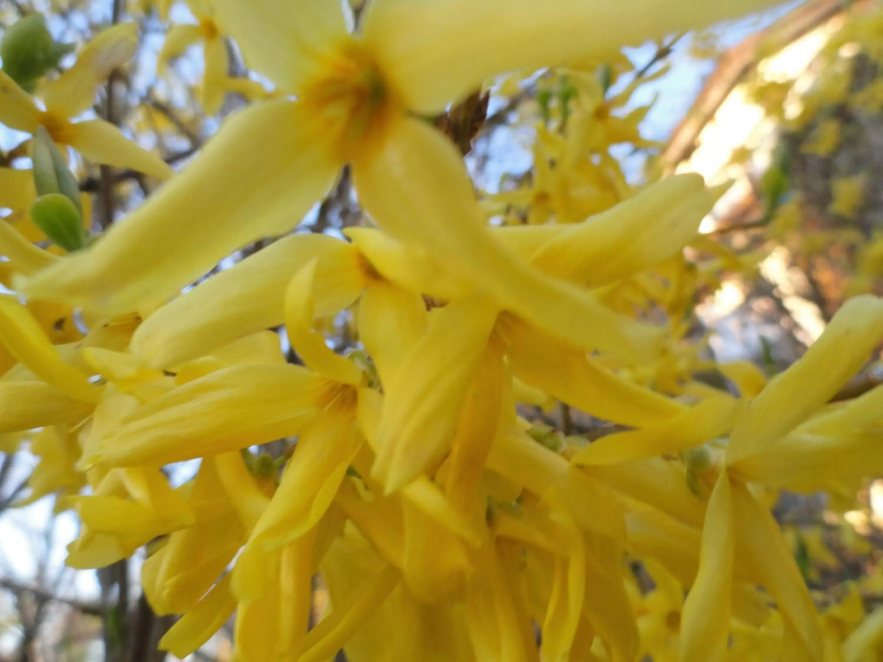 Spring in English Bay Hotel