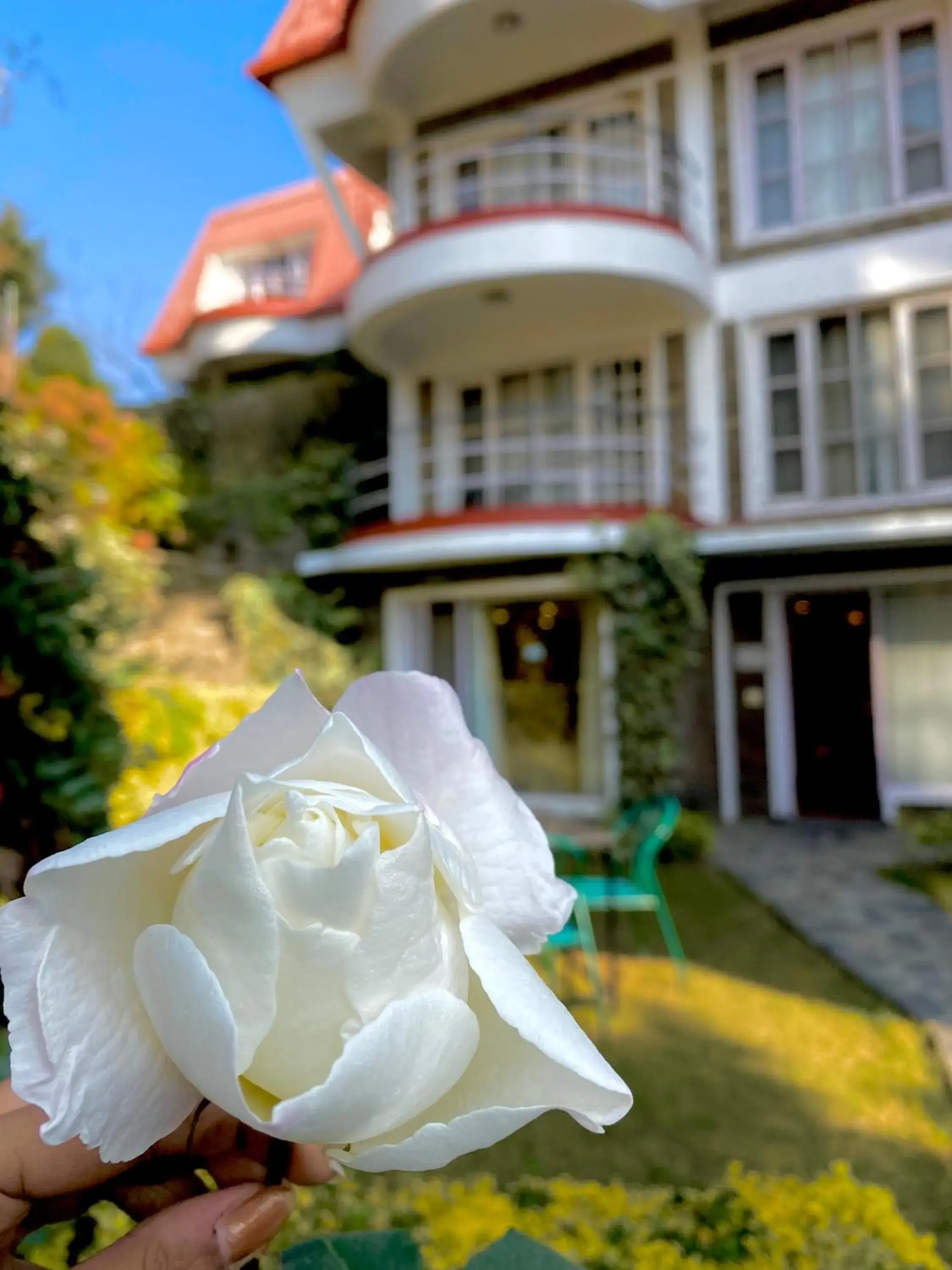 Garden, Property Building in Marigold Sarovar Portico Shimla