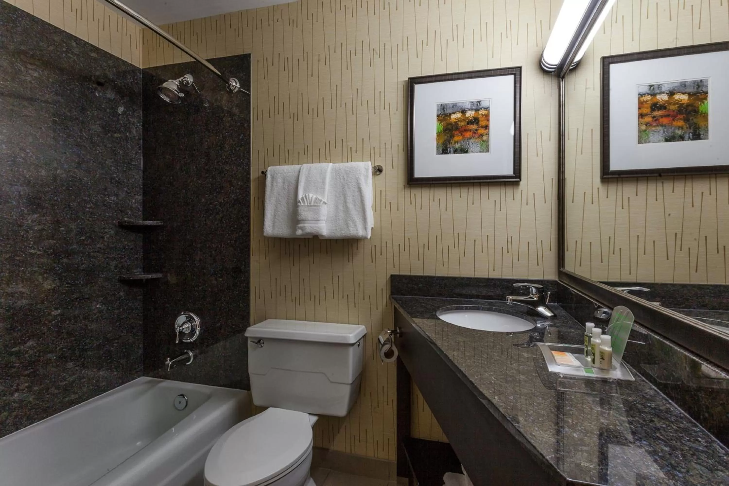 Bathroom in Holiday Inn Chicago North-Evanston by IHG