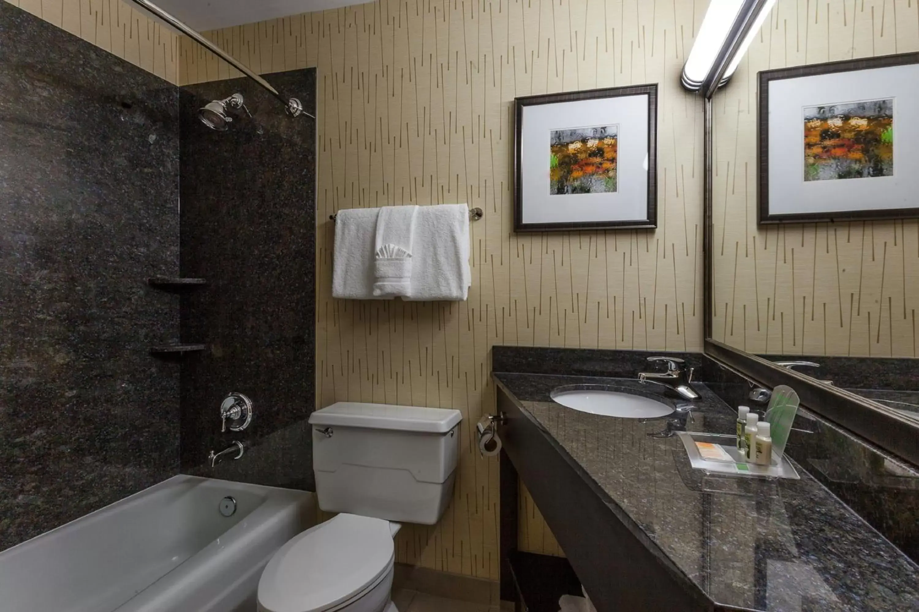 Bathroom in Holiday Inn Chicago North-Evanston, an IHG Hotel