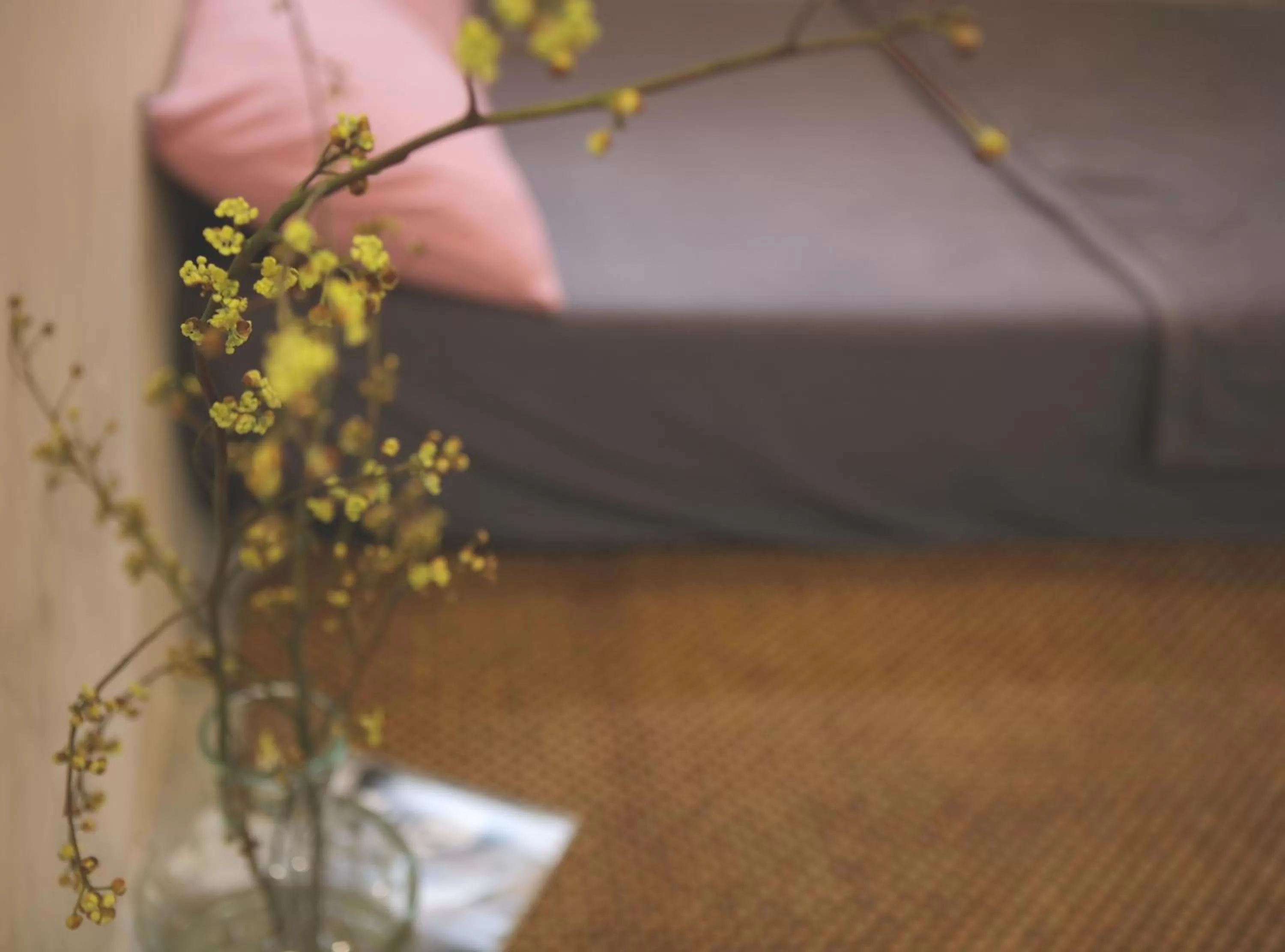 Spring in The First Ba Trieu