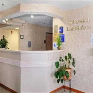 Lobby or reception, Lobby/Reception in Microtel Inn & Suites by Wyndham Amarillo