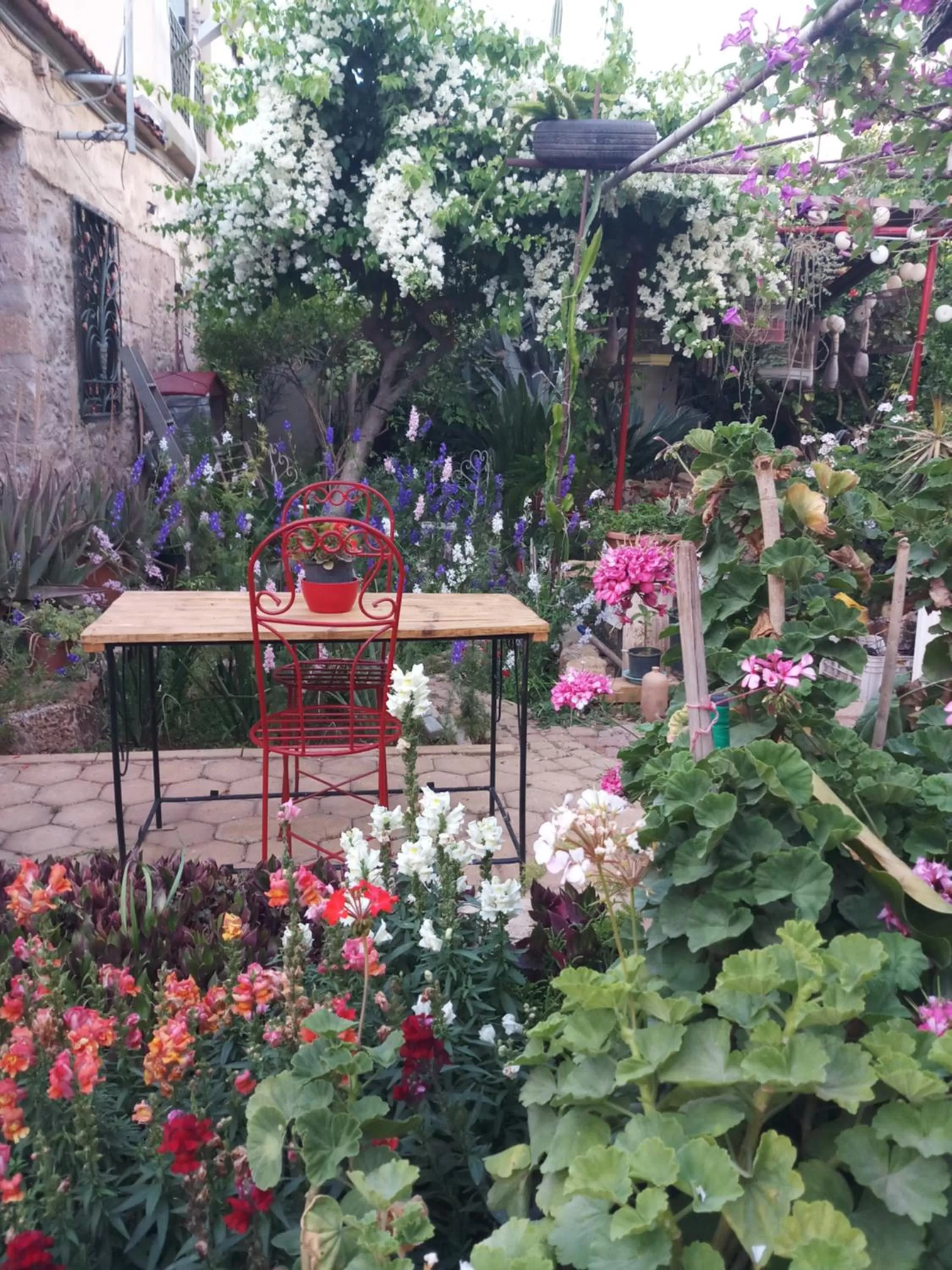 Garden in Mystery Garden Guest House