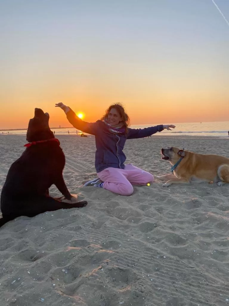 Beach in Tiny Beachhouse