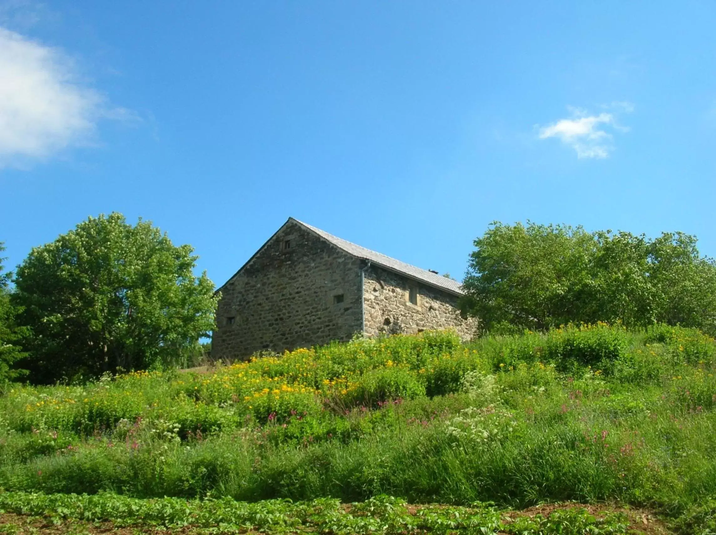 Garden, Property Building in Bastides Du Mezenc