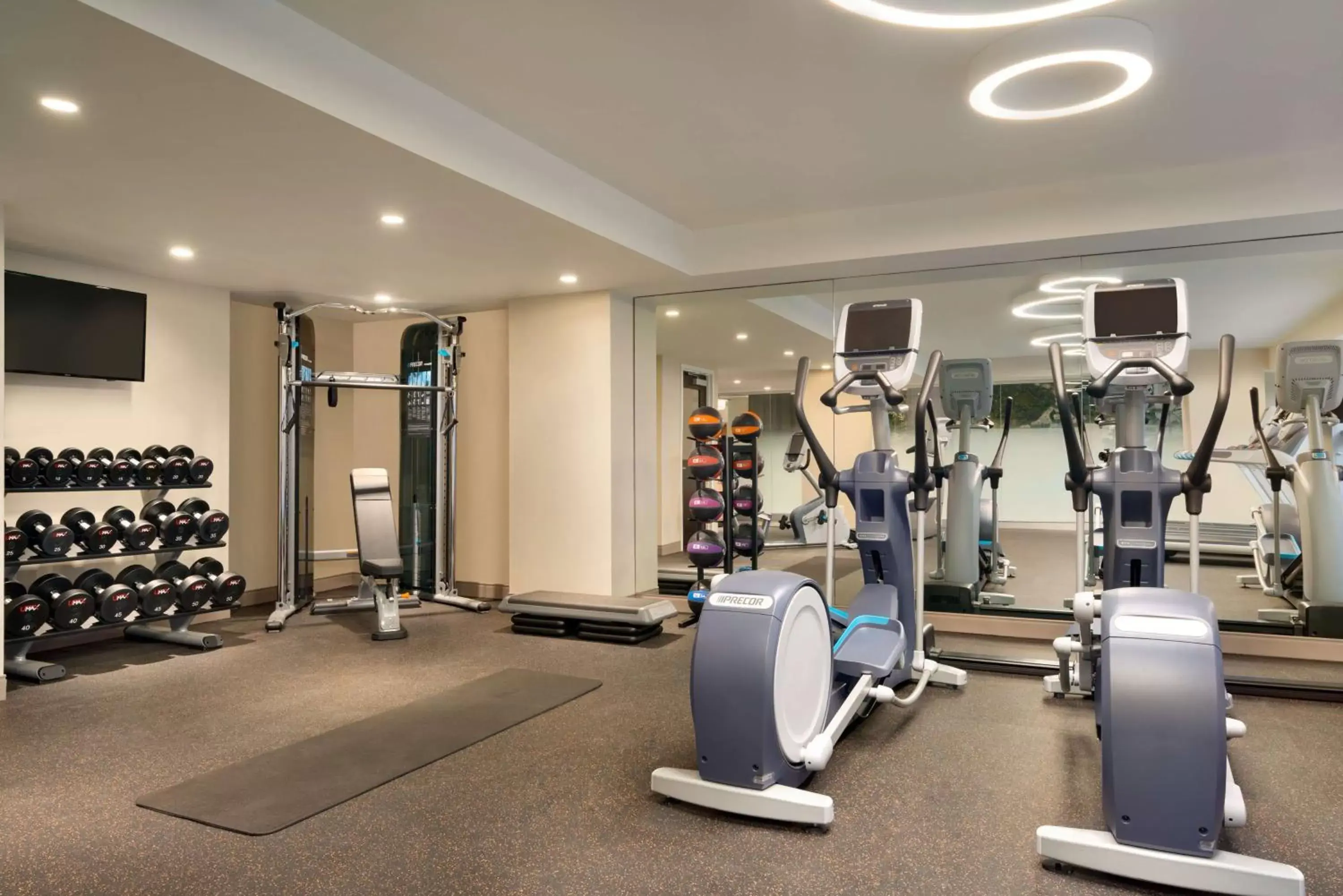 Fitness centre/facilities, Fitness Center/Facilities in Embassy Suites By Hilton New York Manhattan Times Square