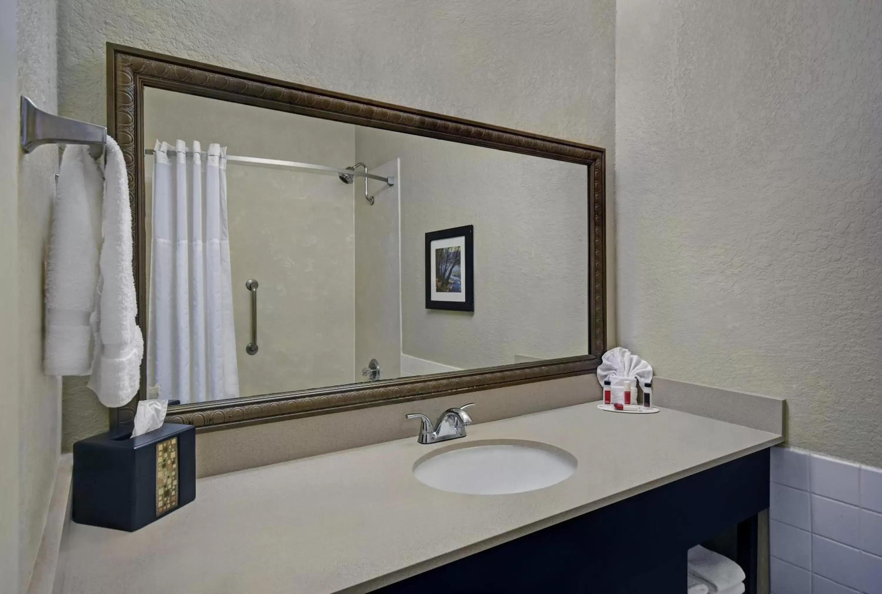 Bathroom in Baymont by Wyndham Houston/Westchase