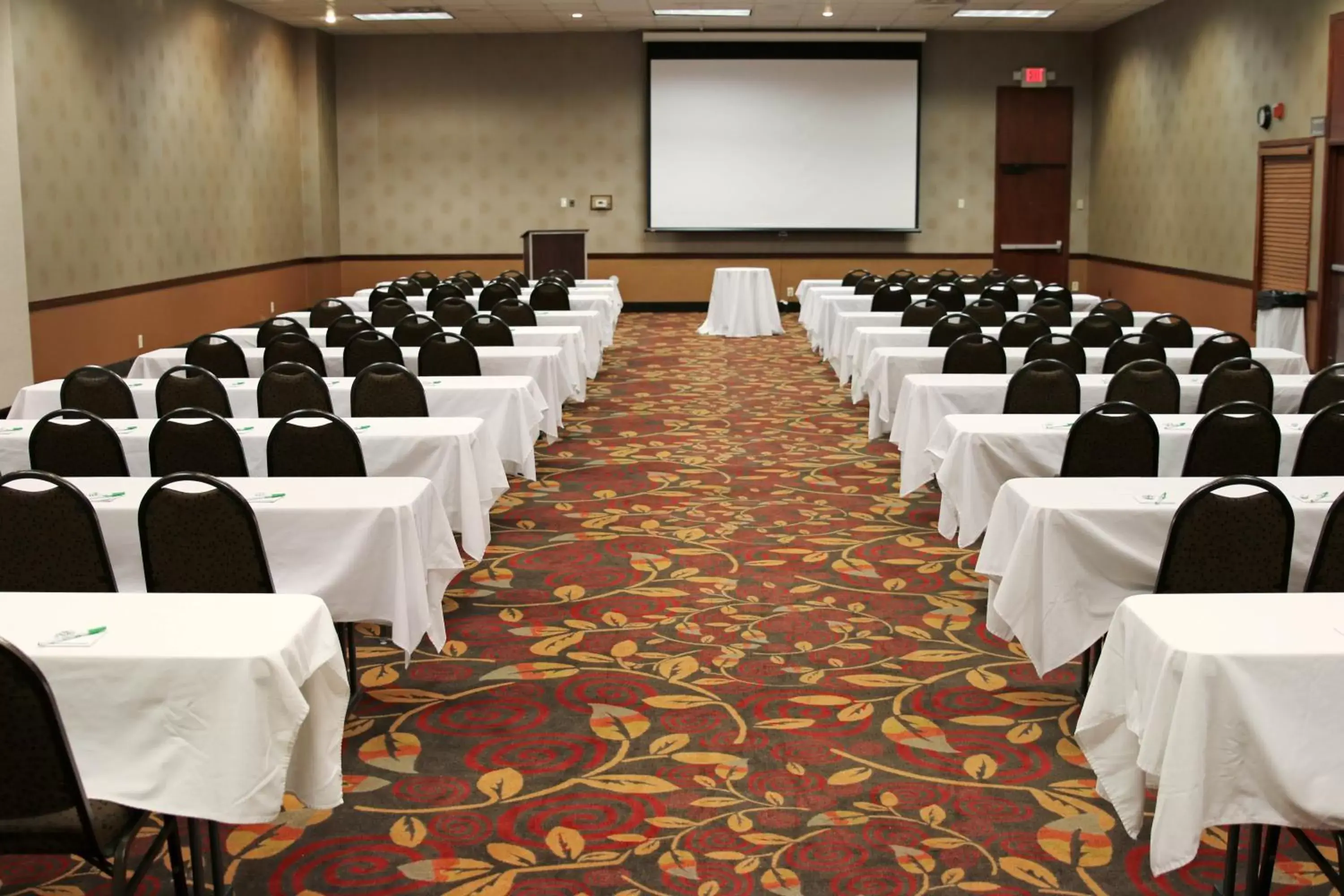 Meeting/conference room in Holiday Inn Alexandria, an IHG Hotel