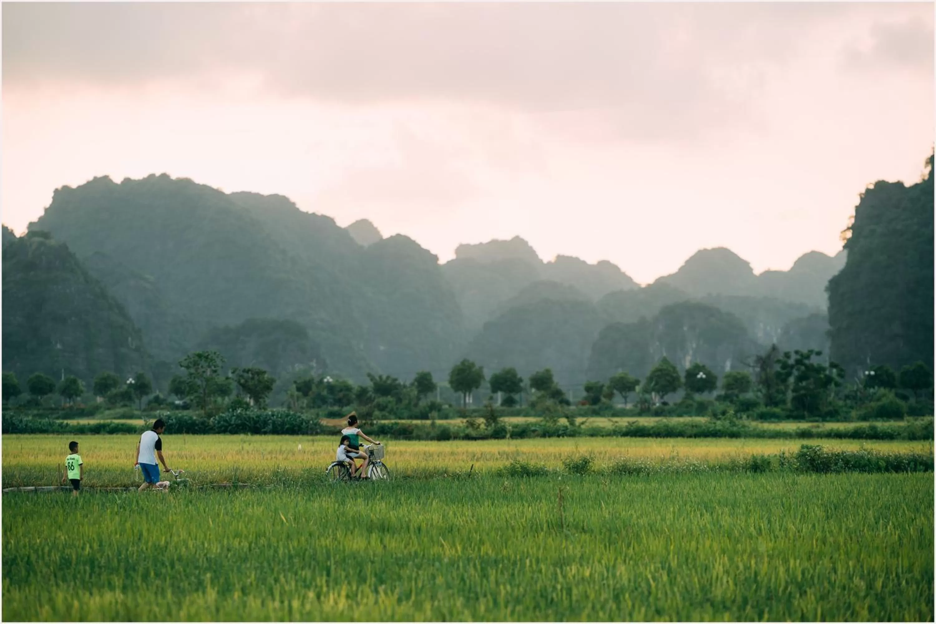 Day in Tam Coc Windy Fields