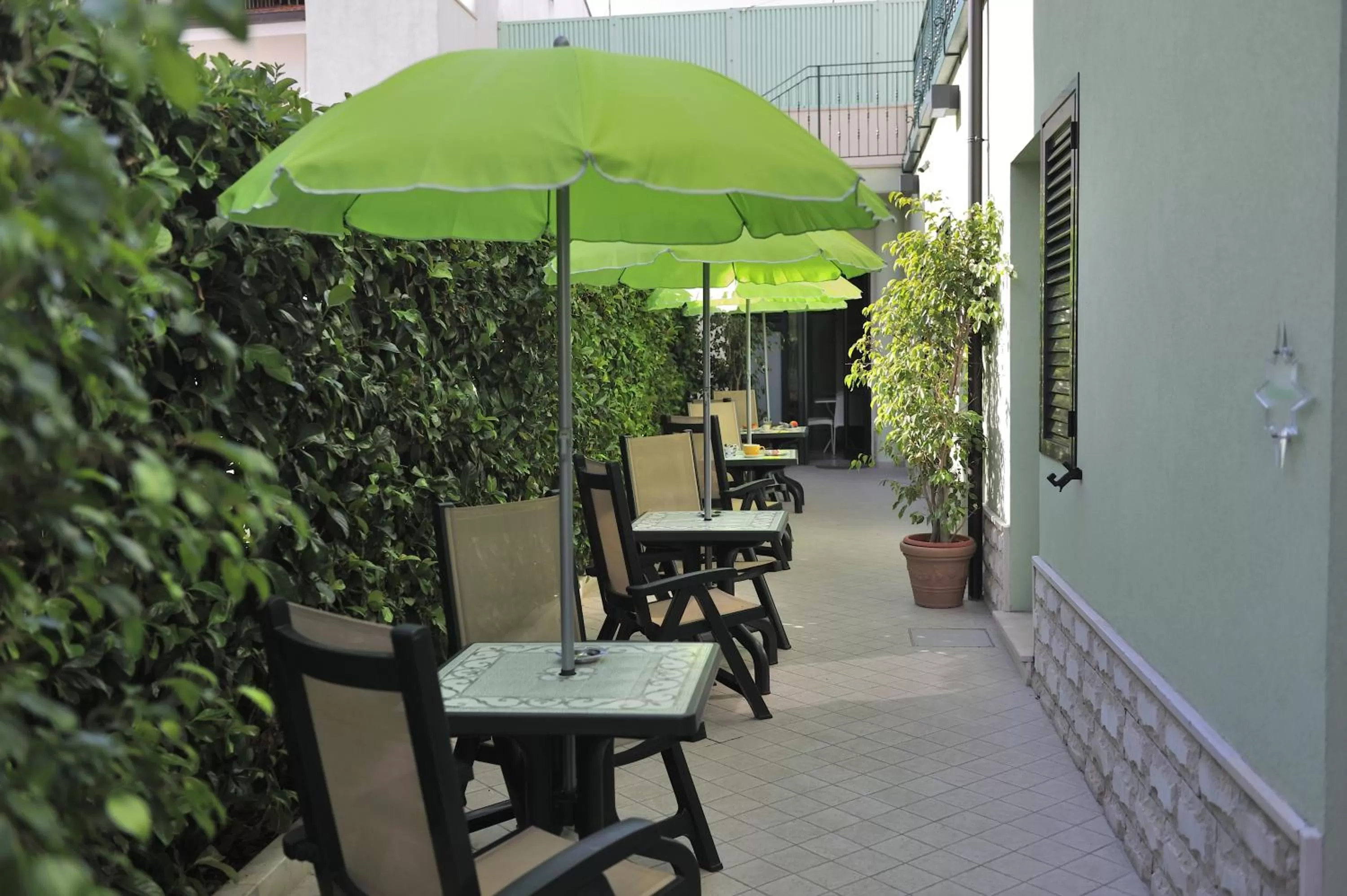 Garden view in La Casa Del Nonno