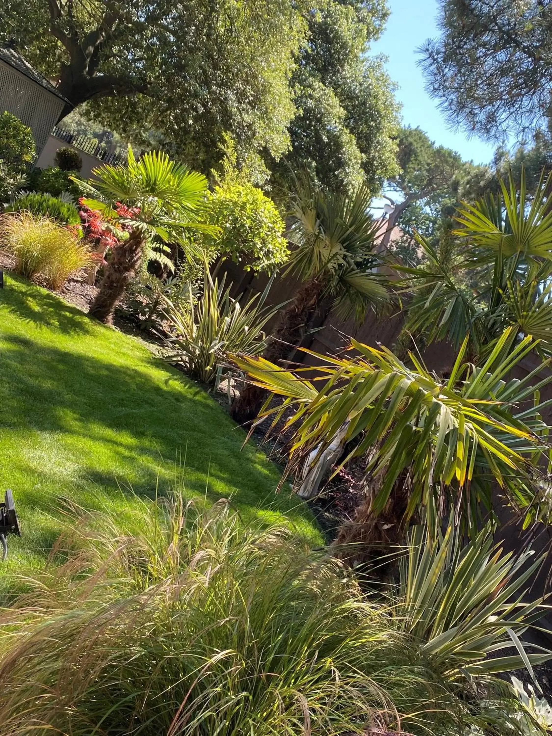 Garden in Derby Manor