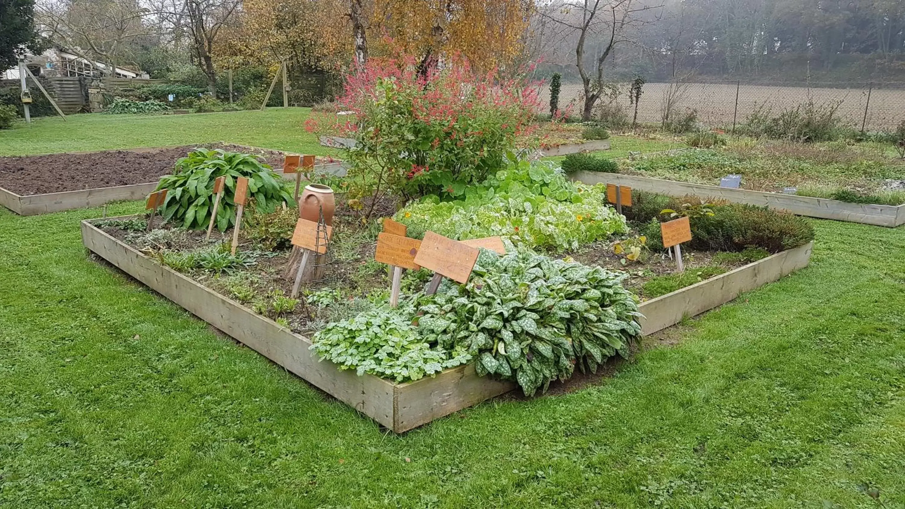 Garden in Le Manoir de la Bigotière