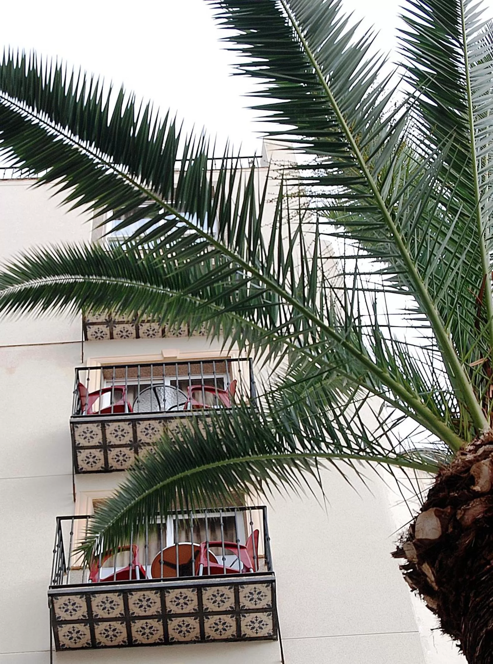 Facade/entrance in Hotel Queens - Adults Only