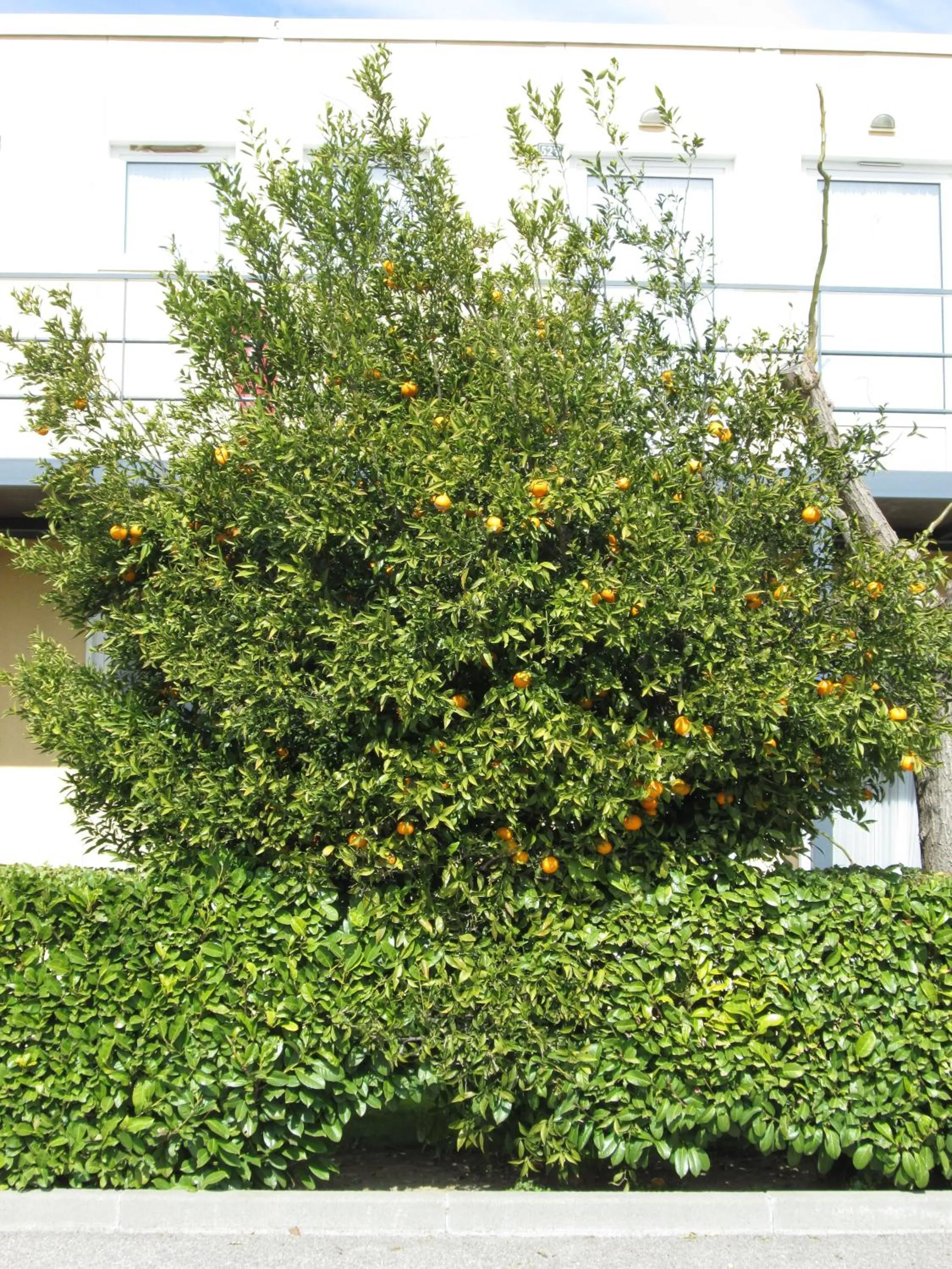 Day in Hôtel Ariane