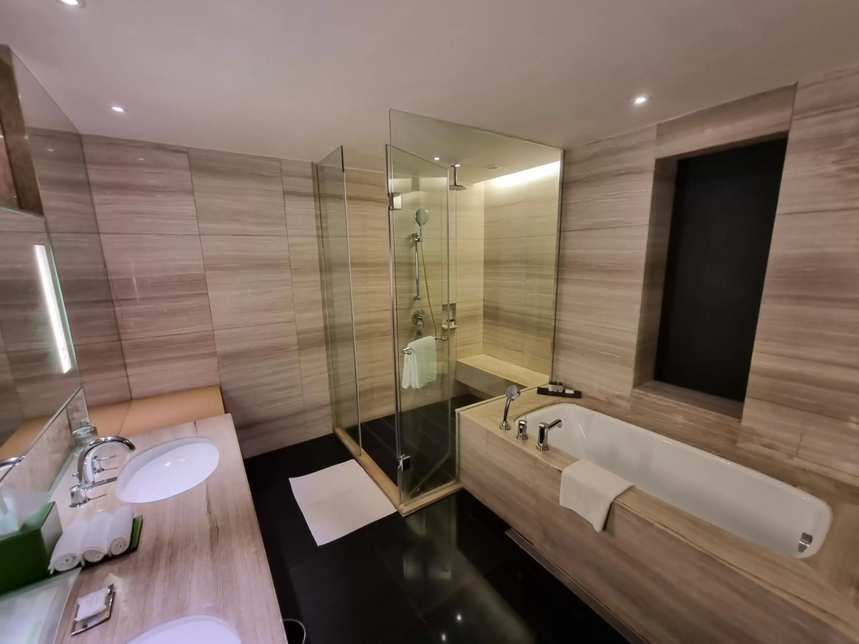 Bathroom in Holiday Inn New Delhi International Airport, an IHG Hotel