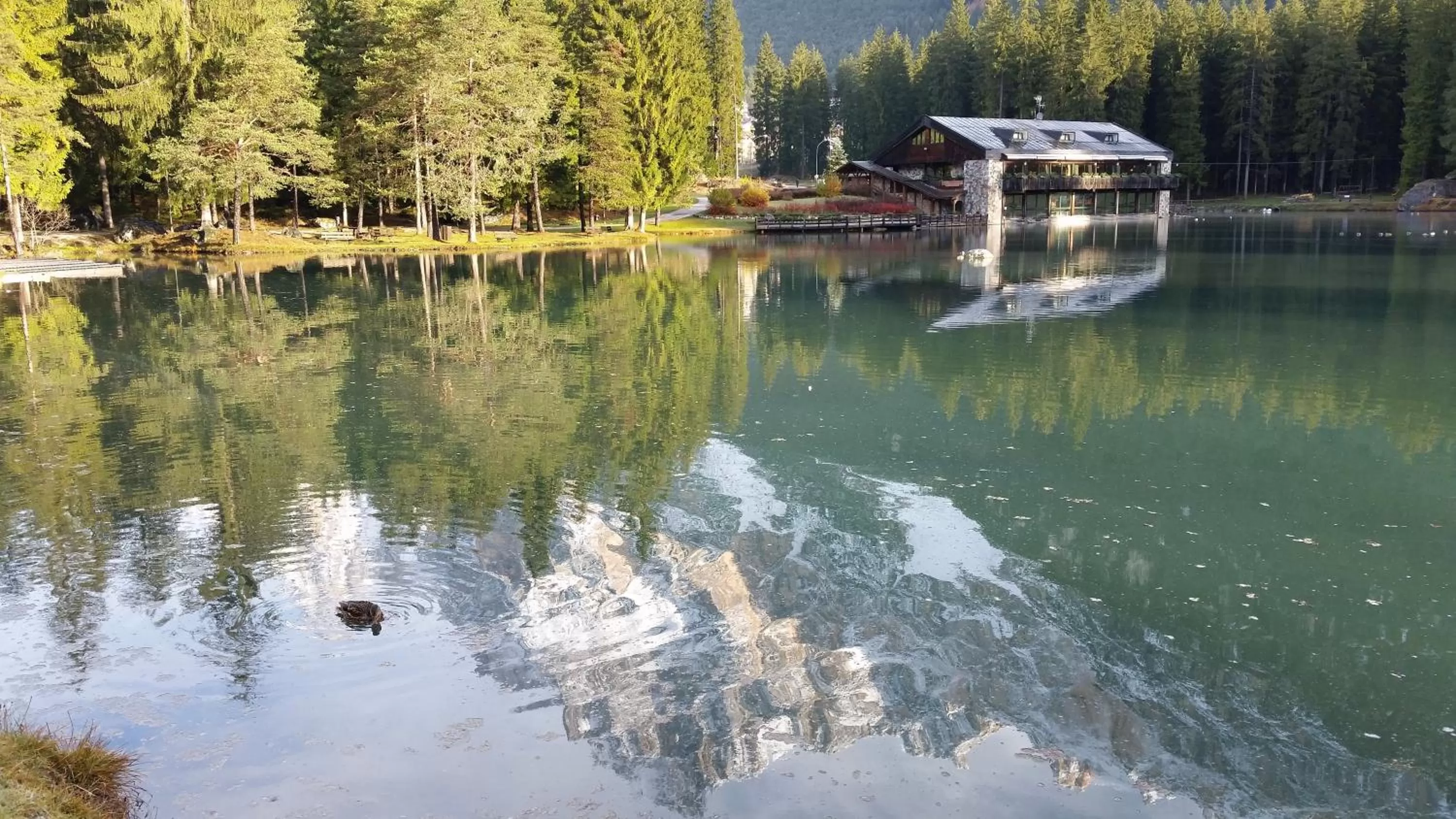 Spring in Chalet Al Lago
