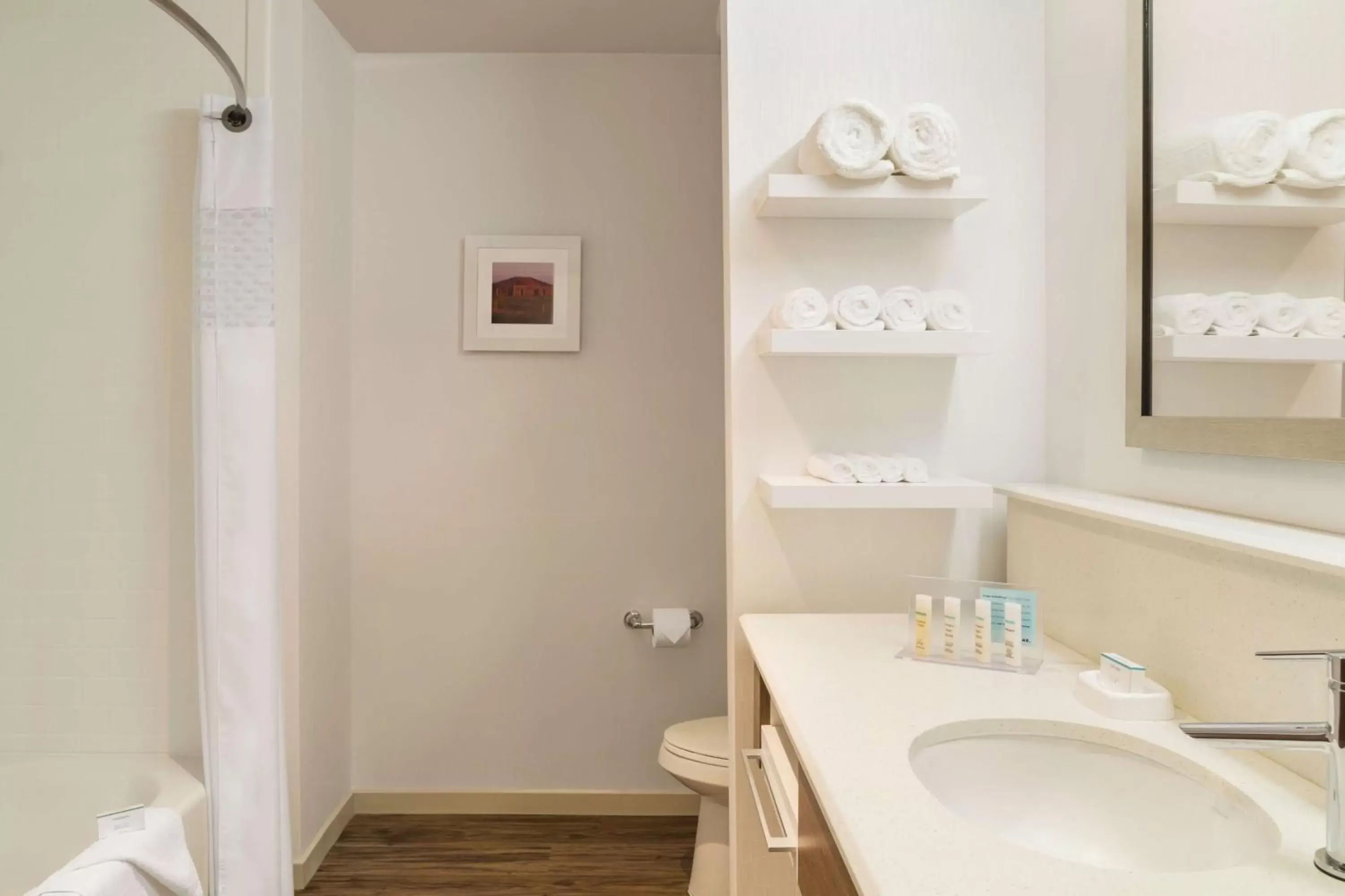 Bathroom in Hampton Inn by Hilton Edmonton/Sherwood Park