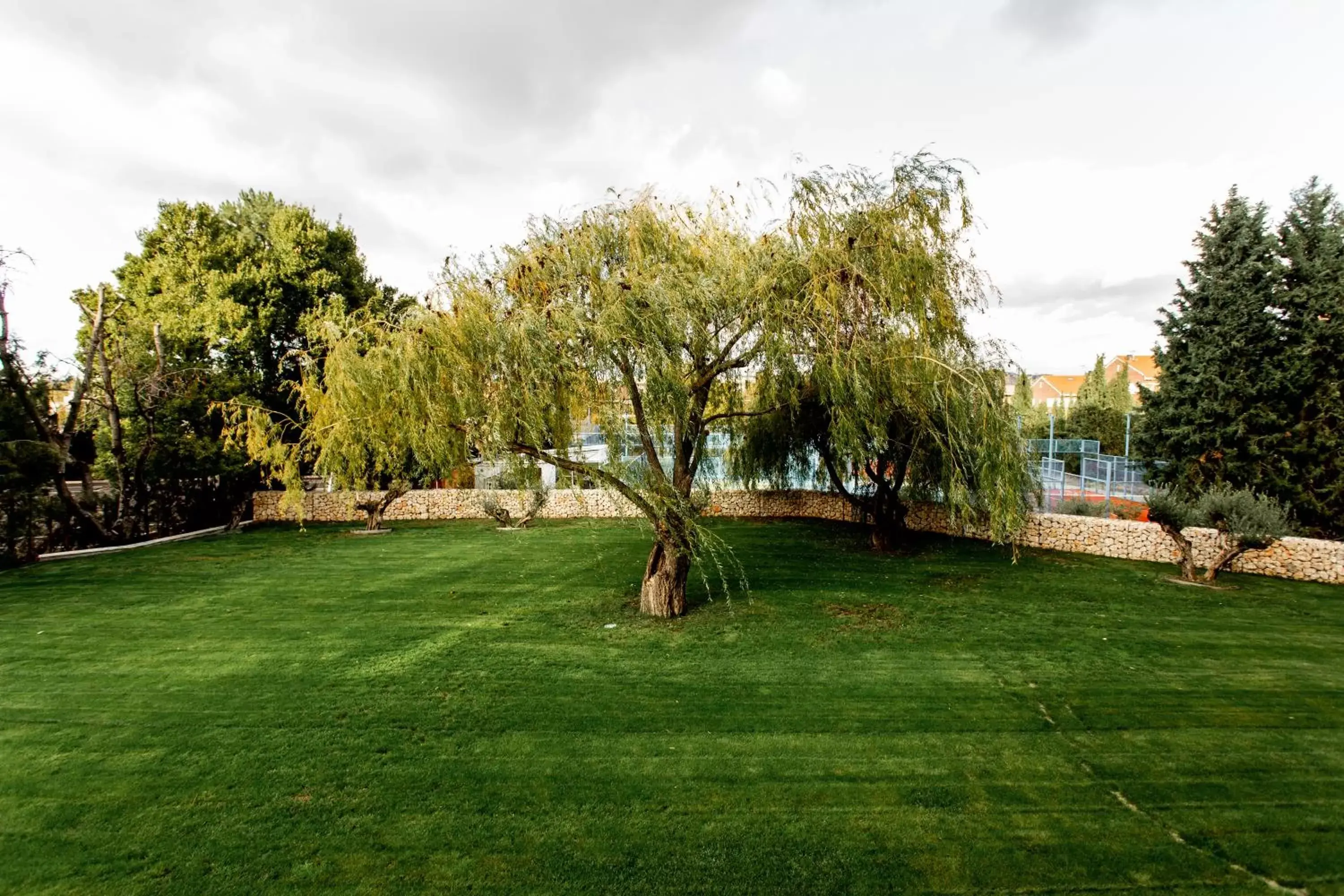 Natural landscape, Garden in Hotel Pax Guadalajara