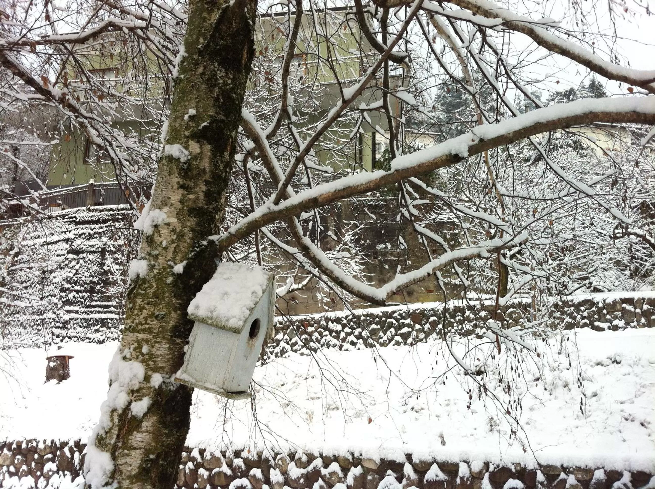 Winter in Vista Castello