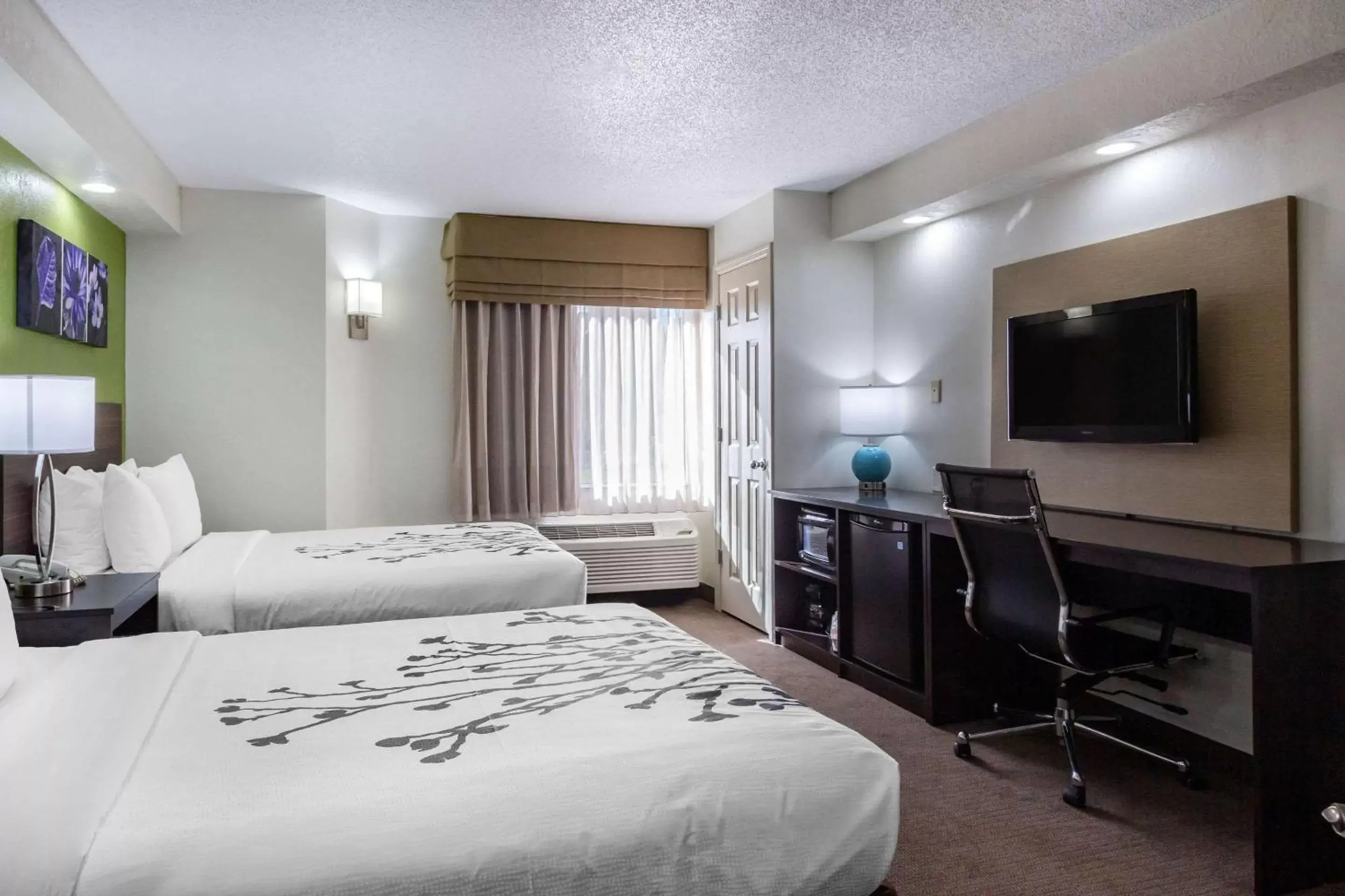 Photo of the whole room, Bed in Sleep Inn near Busch Gardens - USF