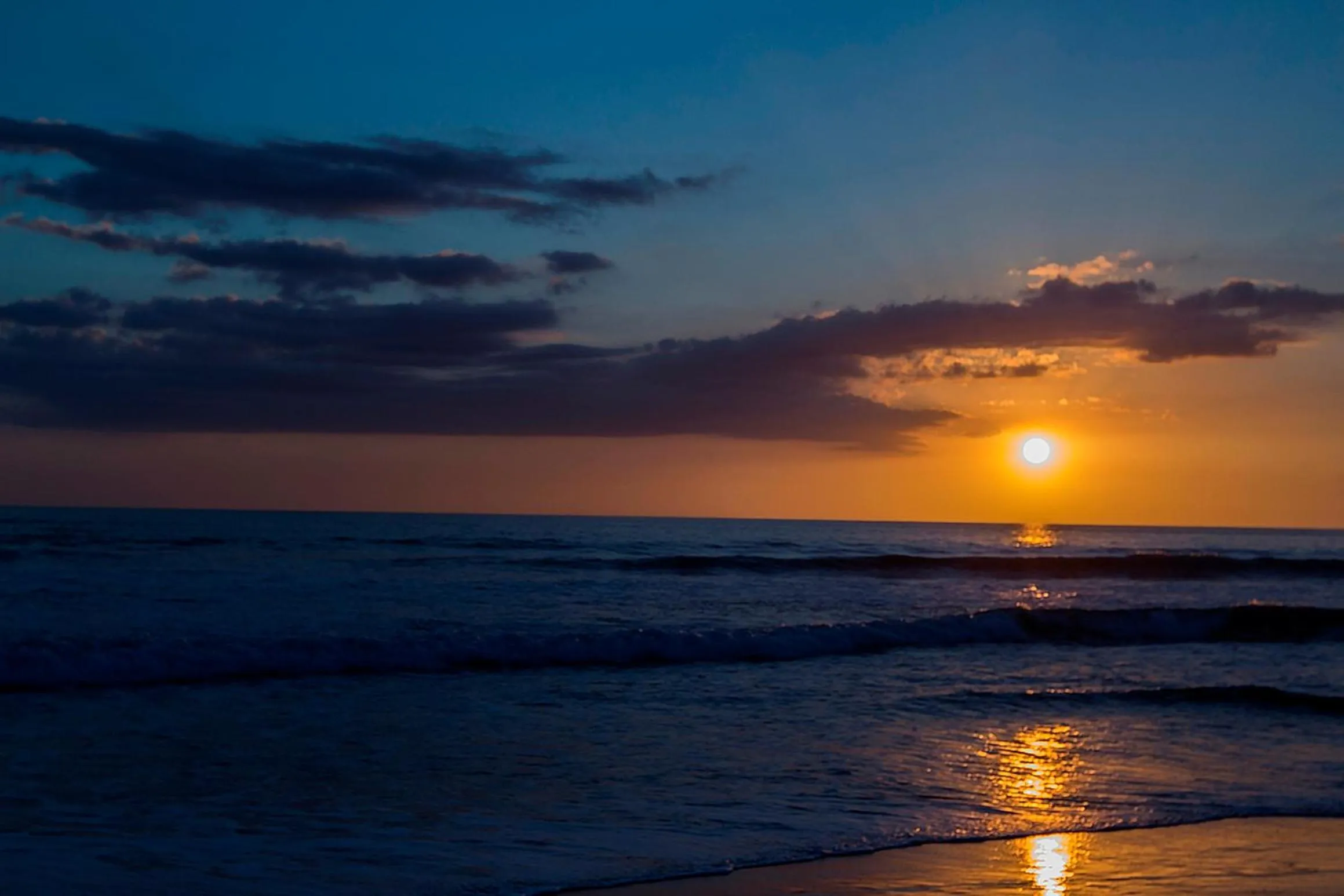 Natural landscape in Hotel Los Ranchos