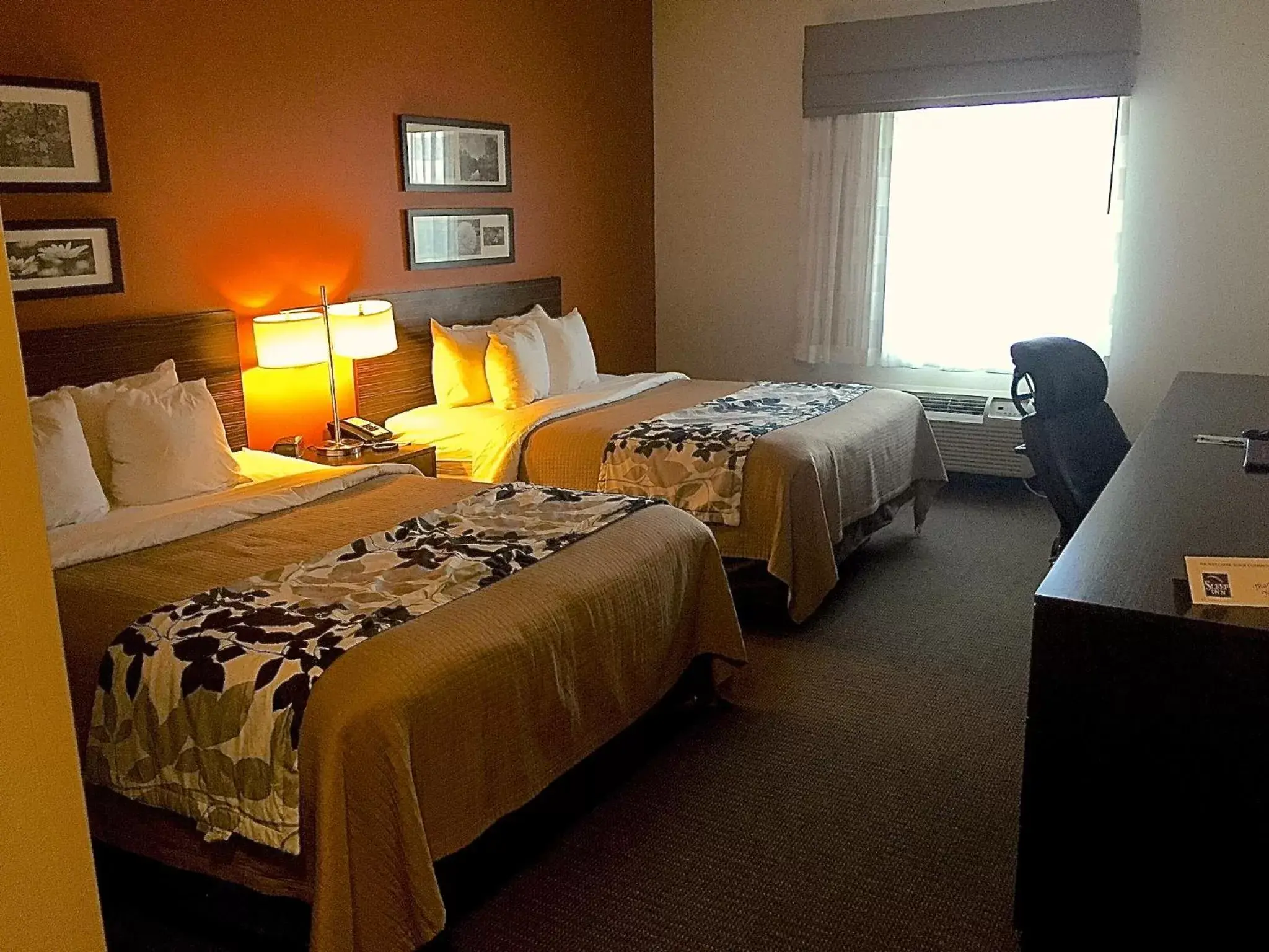 Queen Room with Two Queen Beds - Non-Smoking in Sleep Inn and Suites near Mall & Medical Center