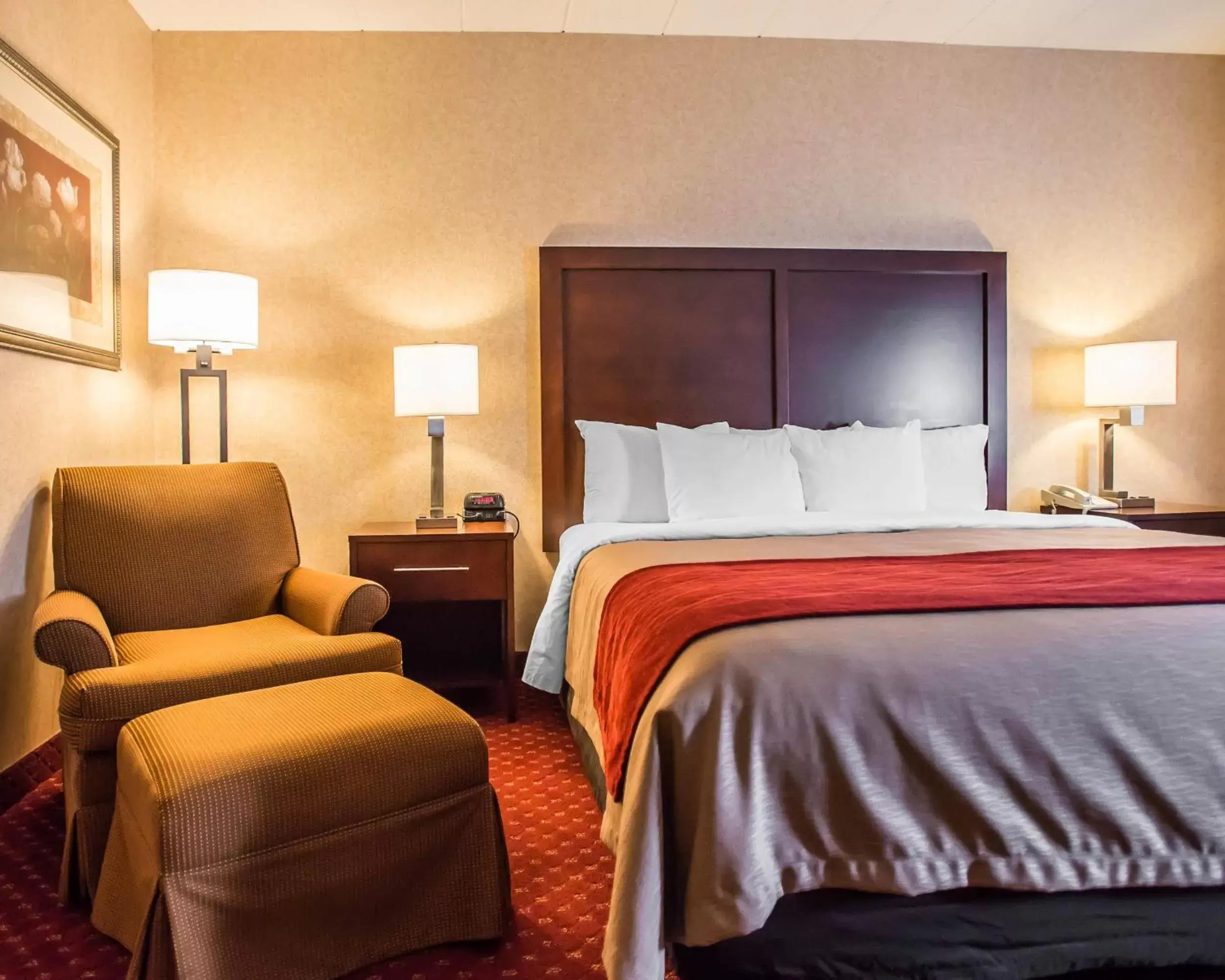 King Room - Pet Friendly in Comfort Inn Pocono Lakes Region