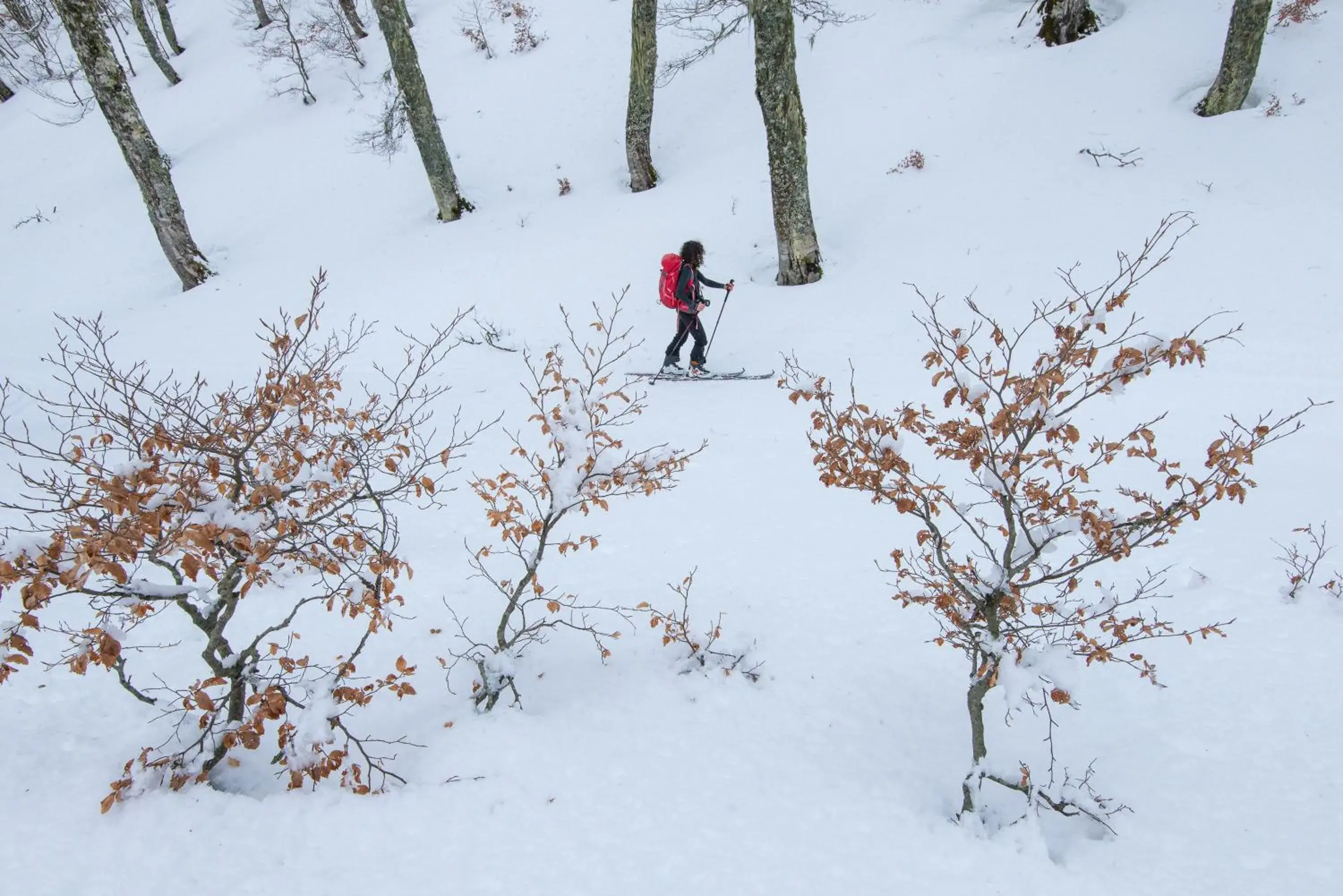 Hiking, Winter in Hotel Iris