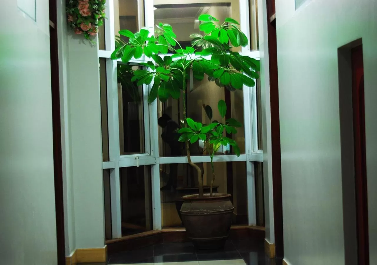 Decorative detail in Mc-Elly's Hotel