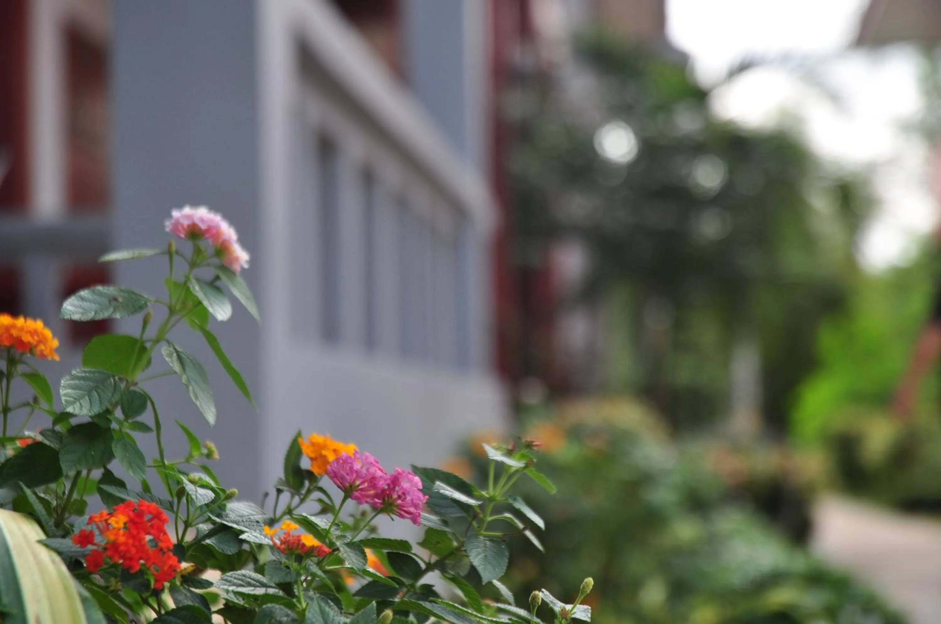 Tamarind Twin Resort