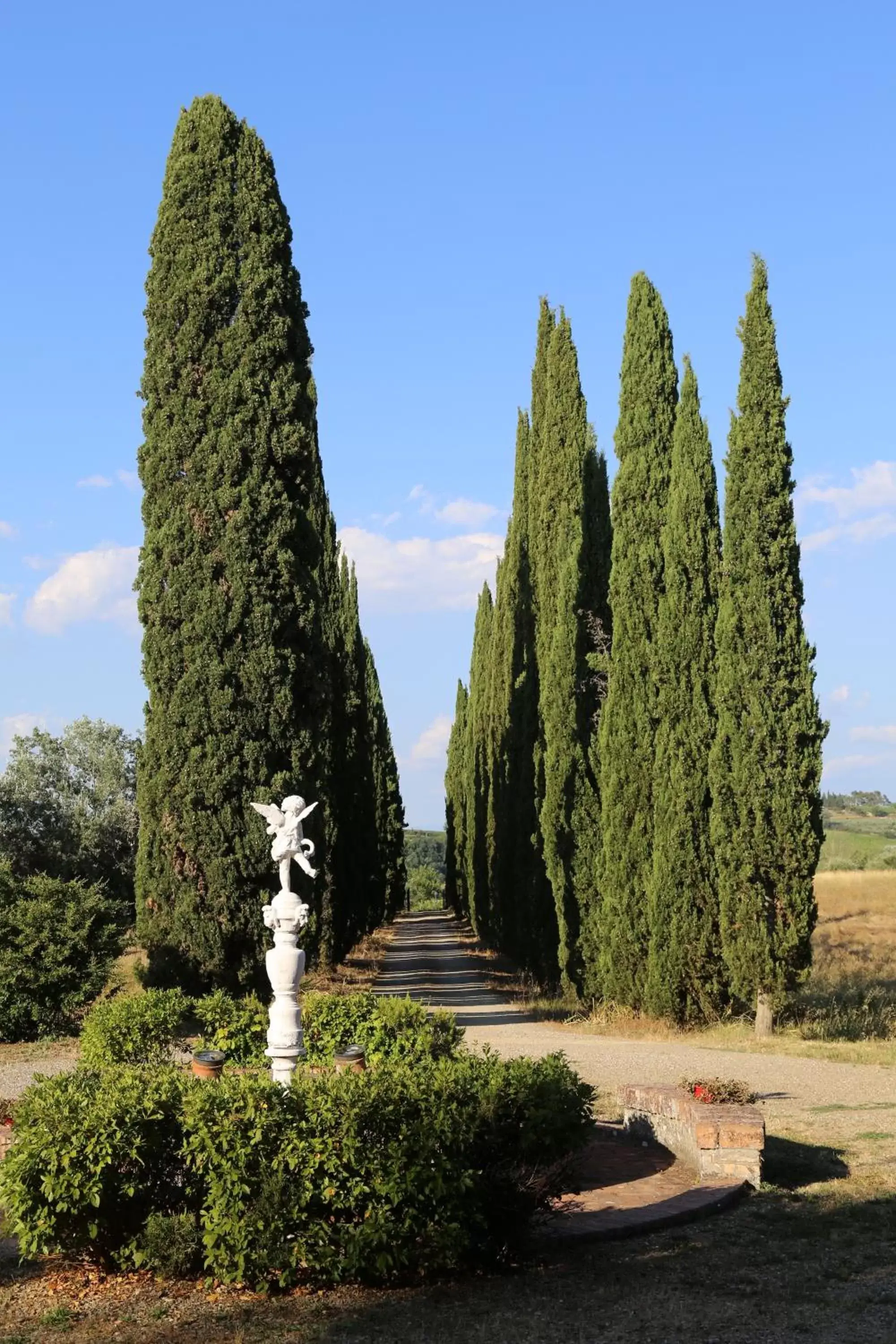 Garden in Villa Albertina