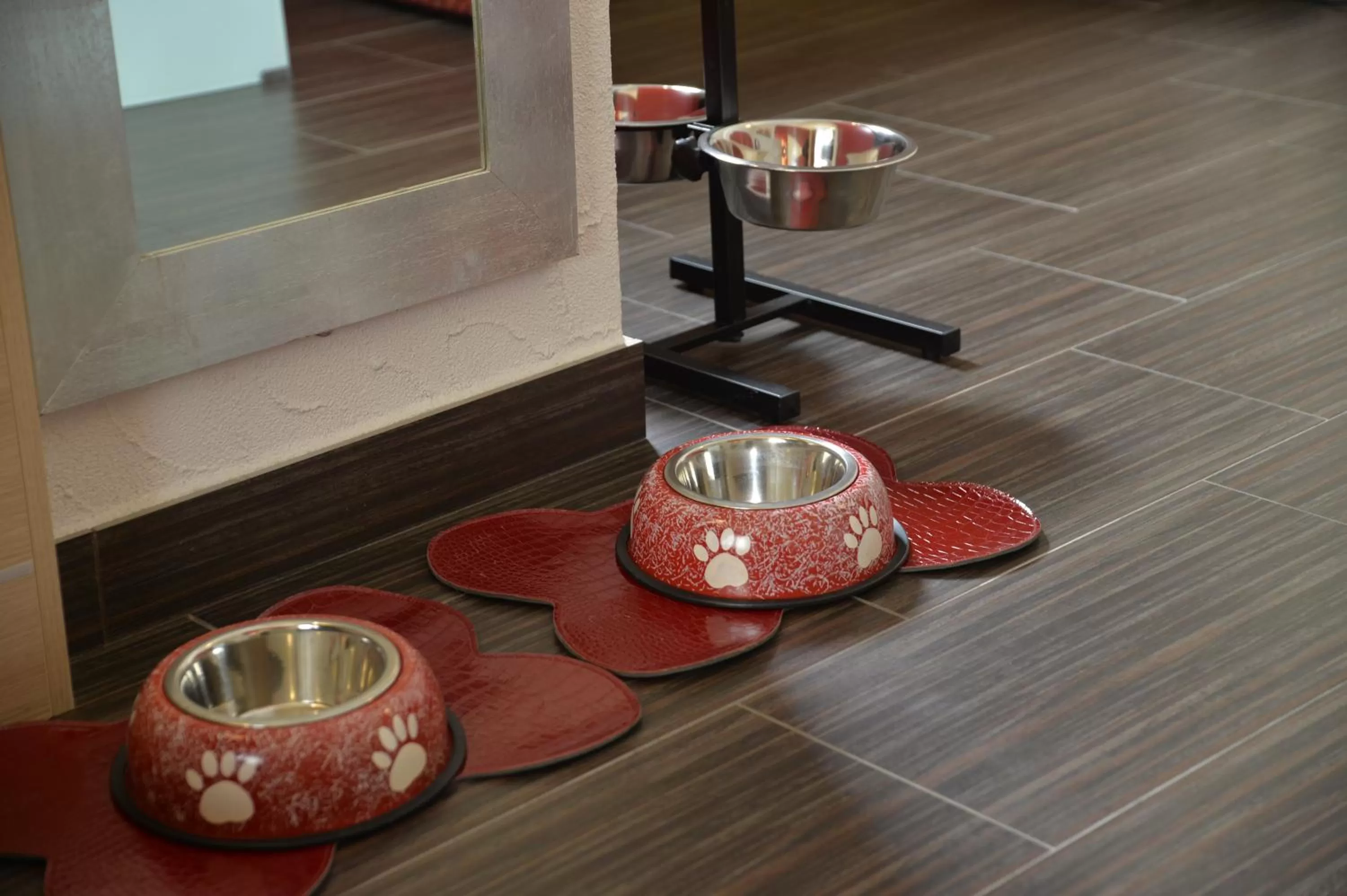 Animals in Best Western Plus Soave Hotel