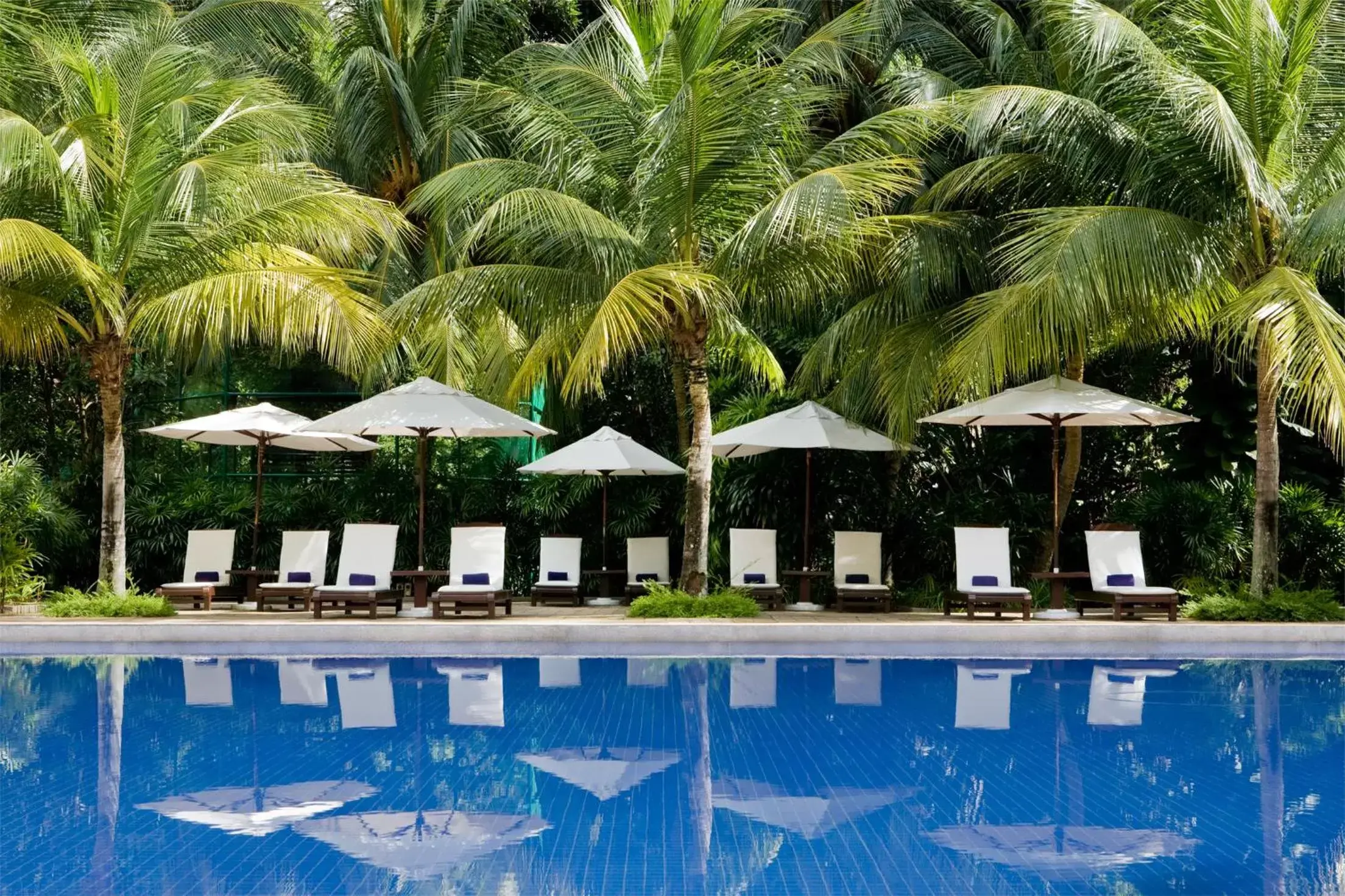 Swimming Pool in Avillion Port Dickson