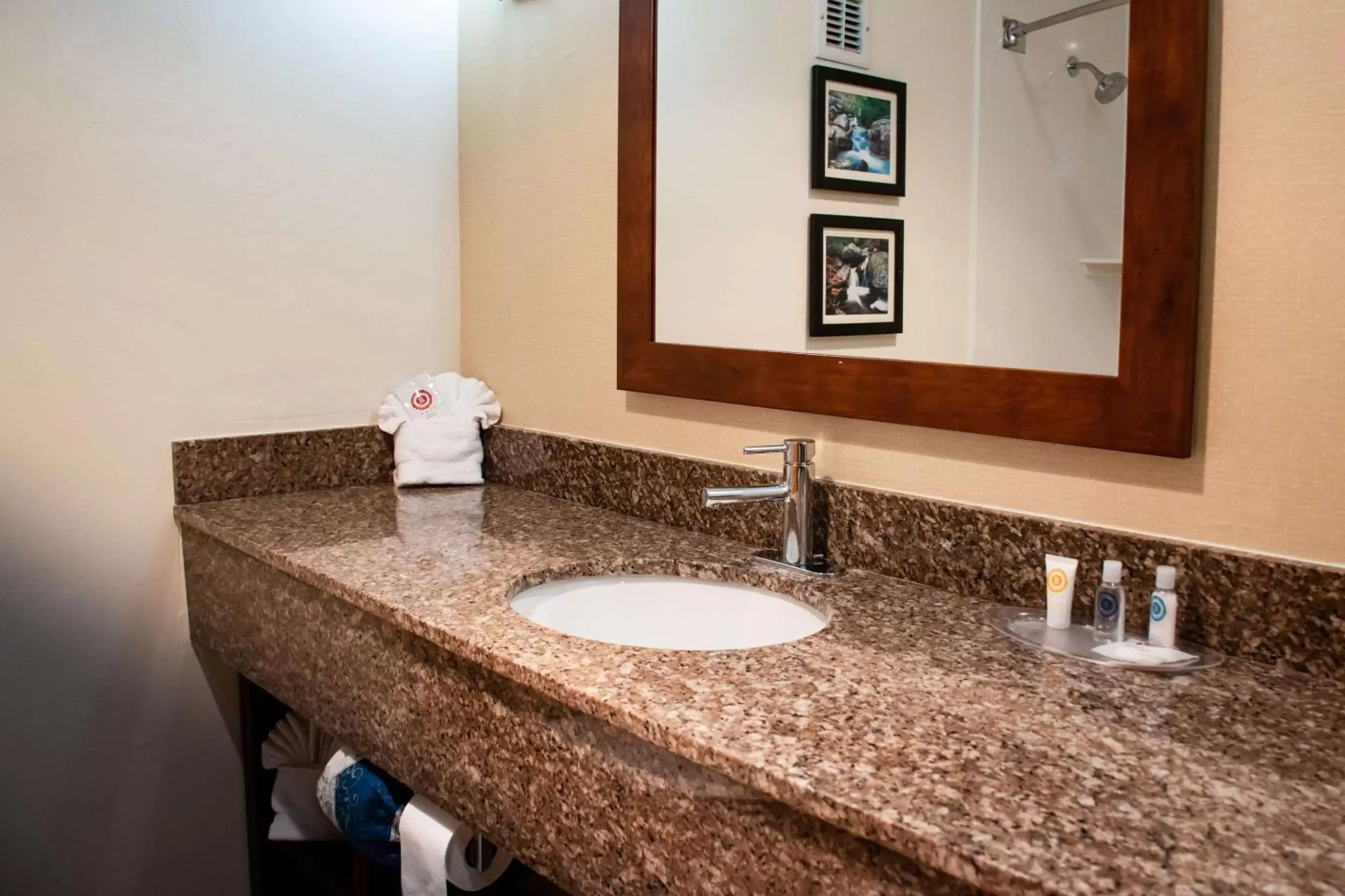 Photo of the whole room, Bathroom in Comfort Suites Ogden Conference Center